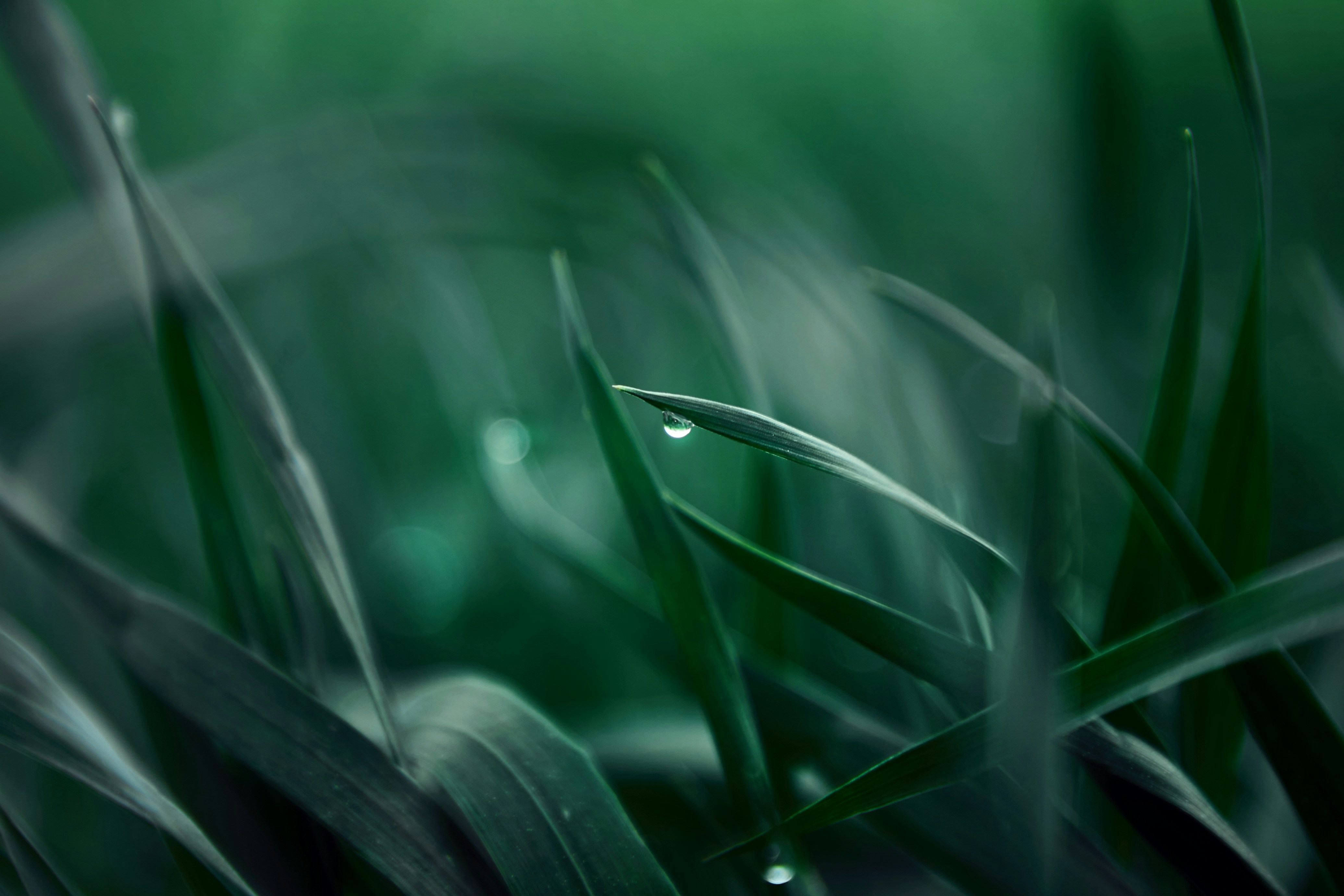 Photo by godisopensource