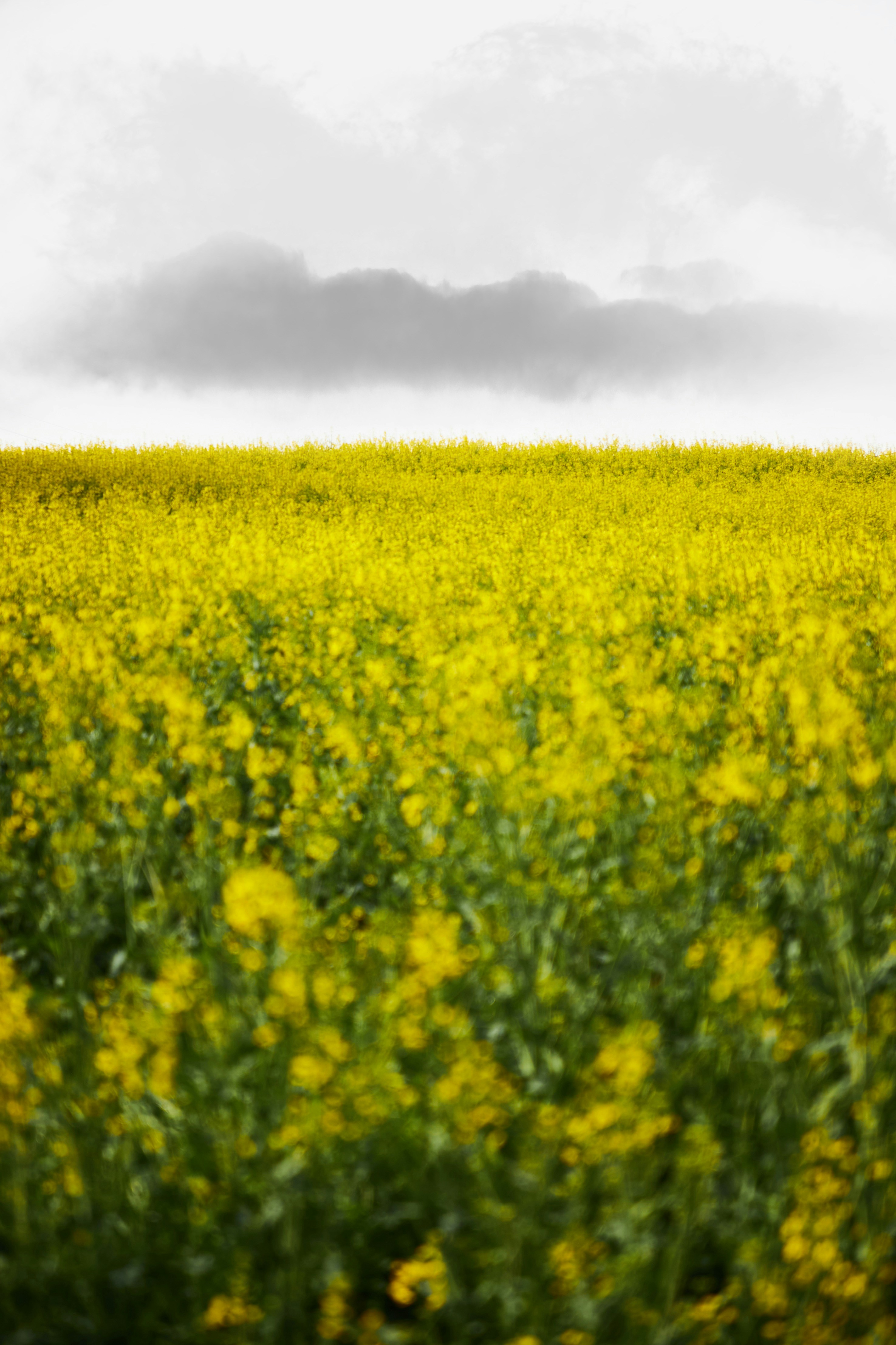 Photo by godisopensource