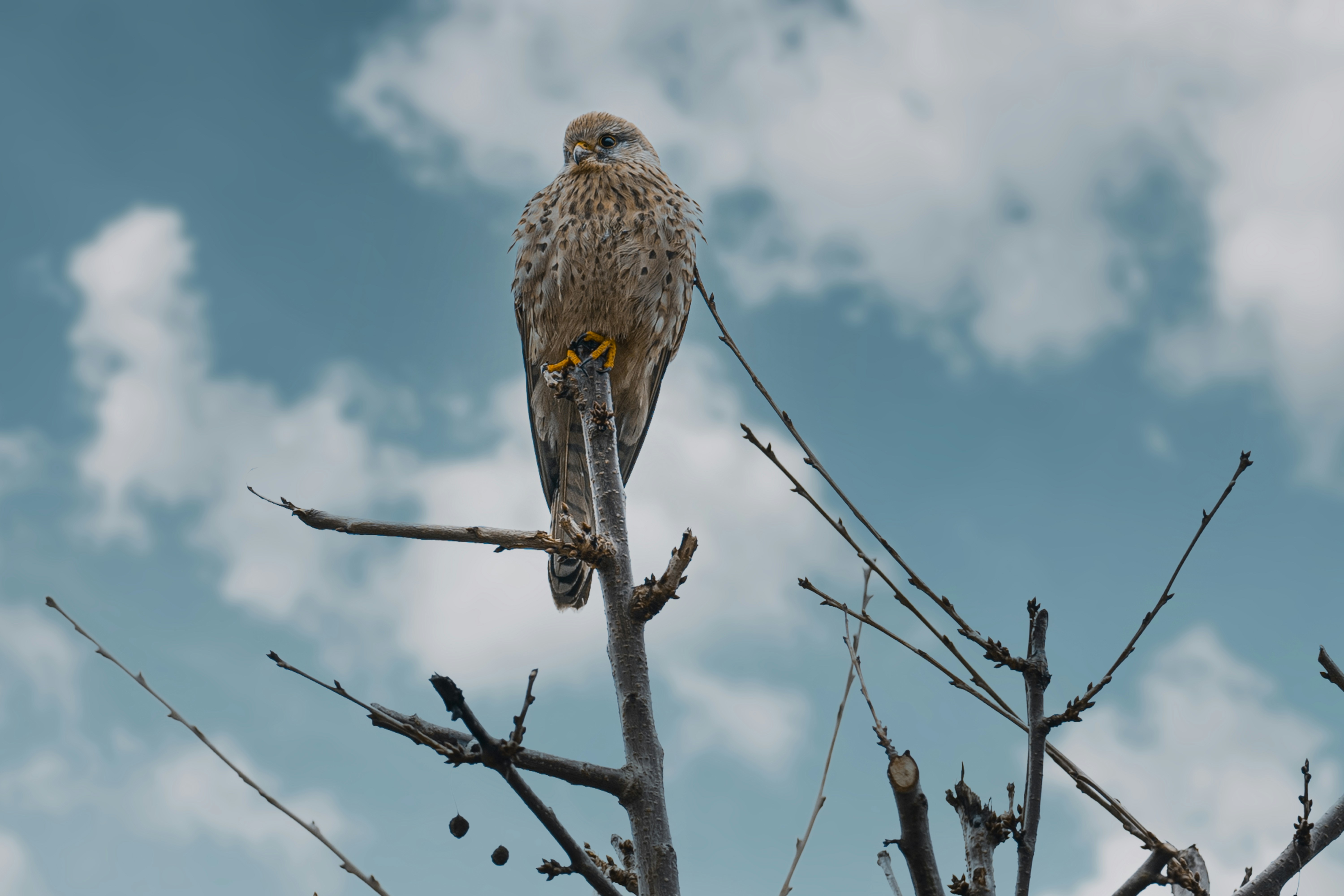 Photo by omarvellous14