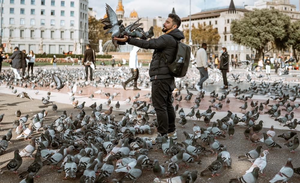 a person feeding a flock of pigeons