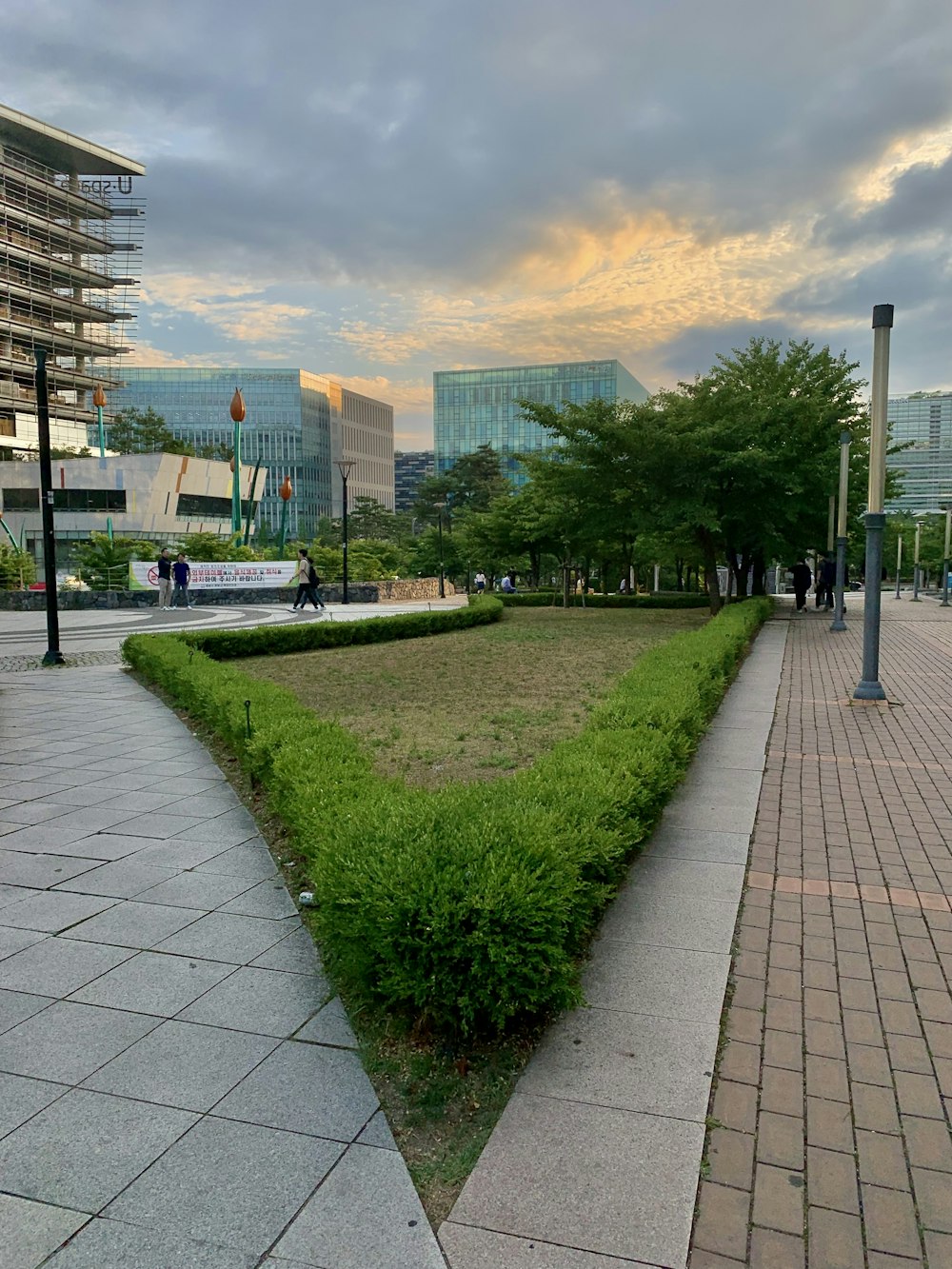 a sidewalk with grass and trees and buildings in the background