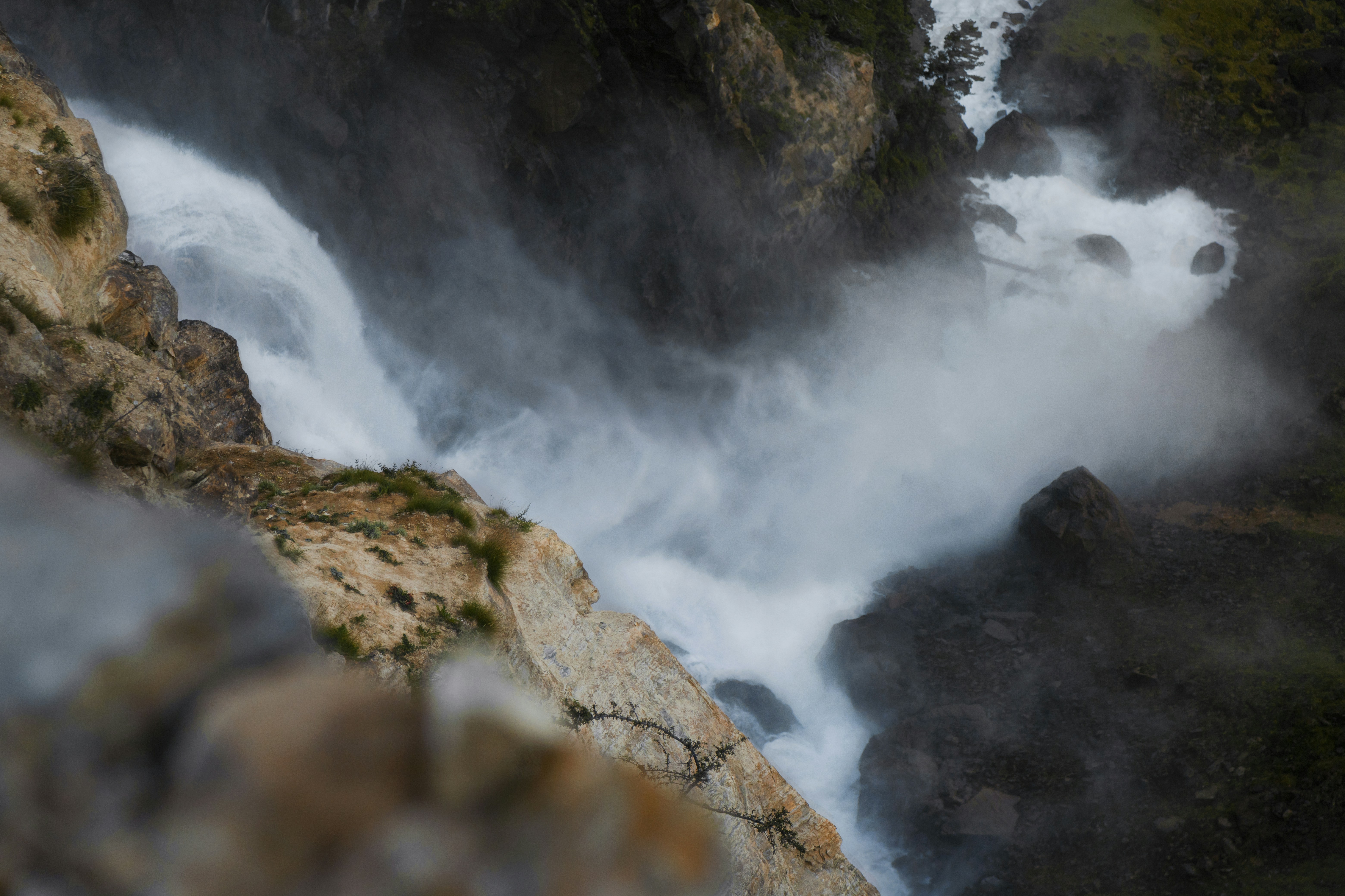 Photo by ashokjkshetri