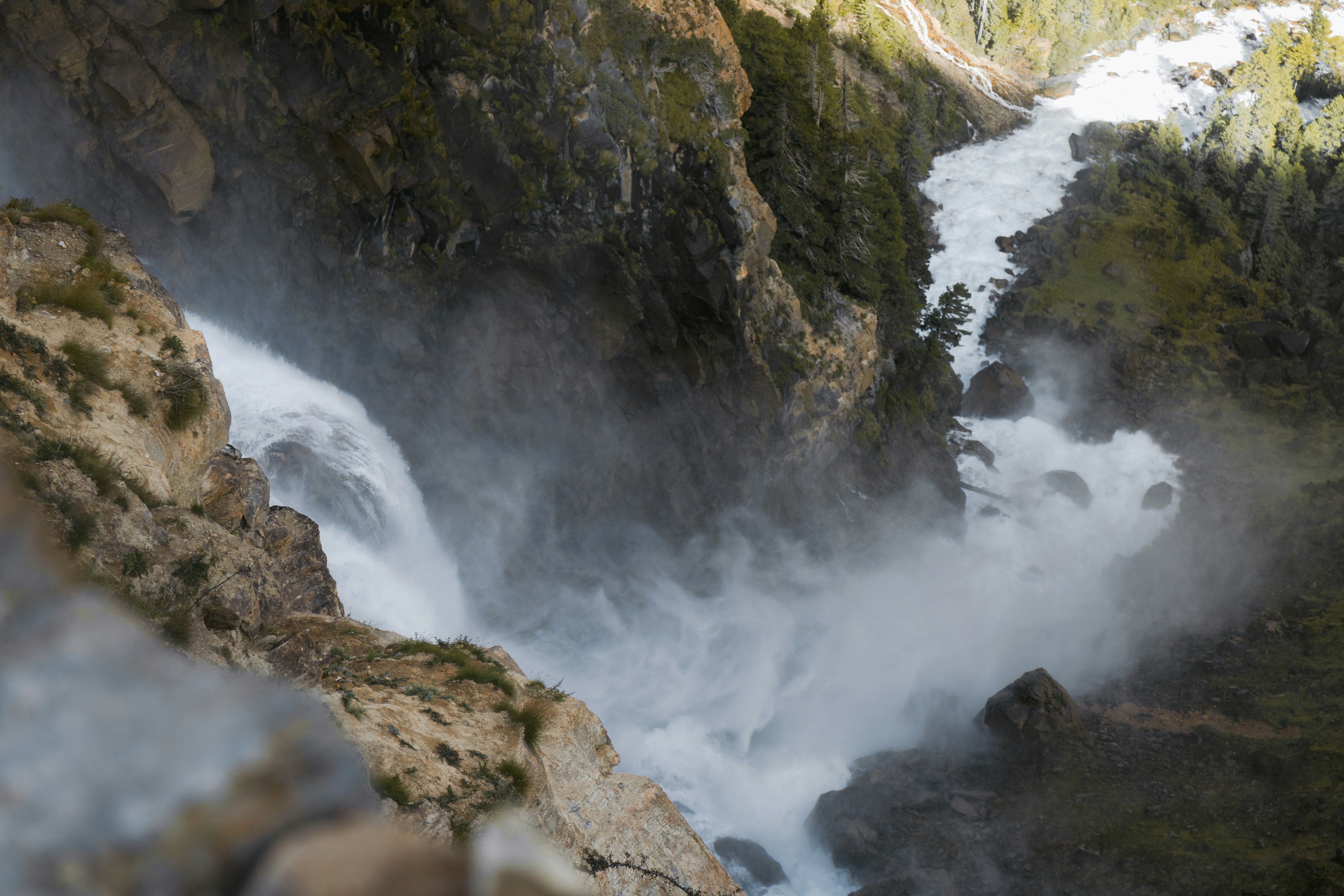 Photo by ashokjkshetri