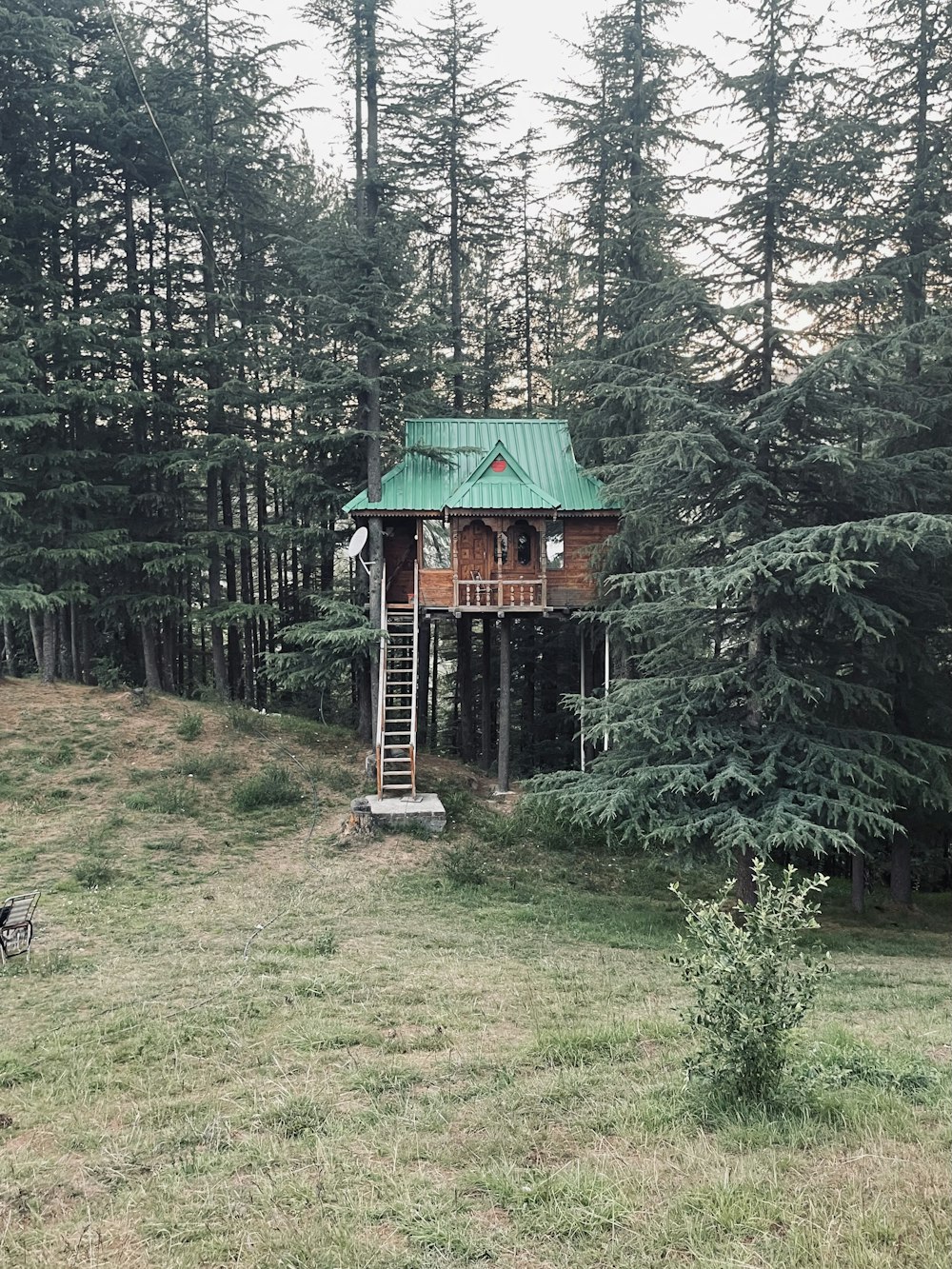 a small building in the woods