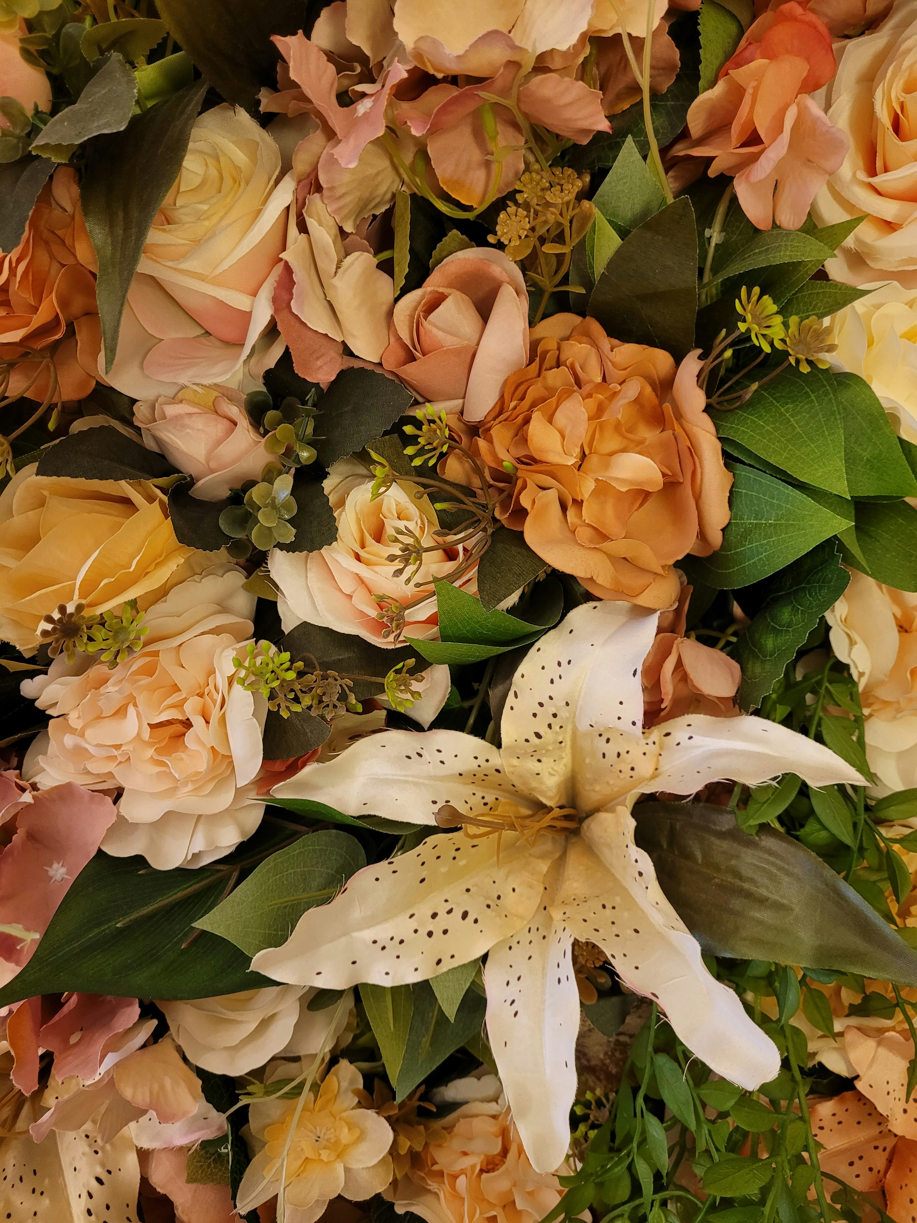 Photo by fabioggonzales