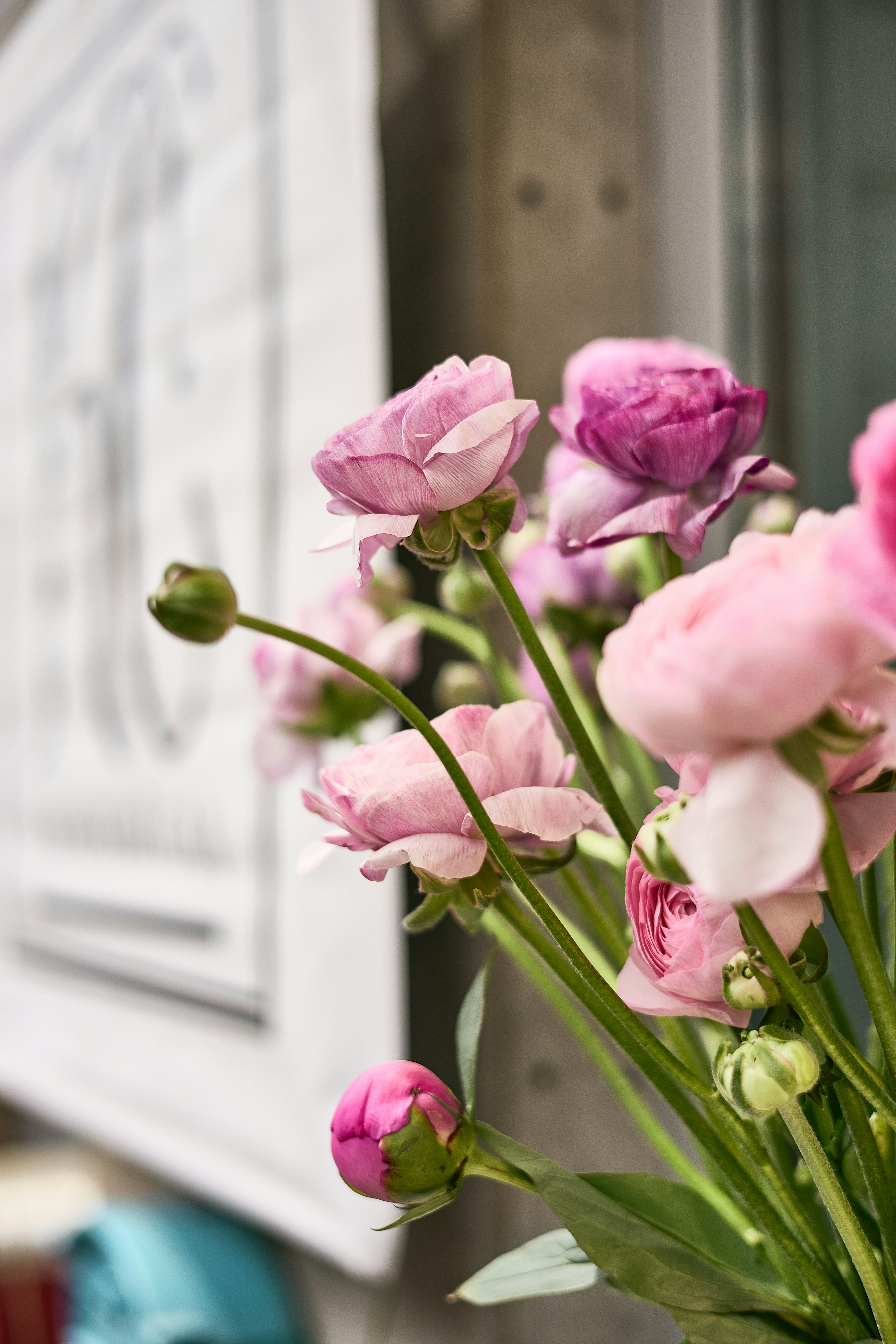 Fresh-Cut Sustainable Flowers