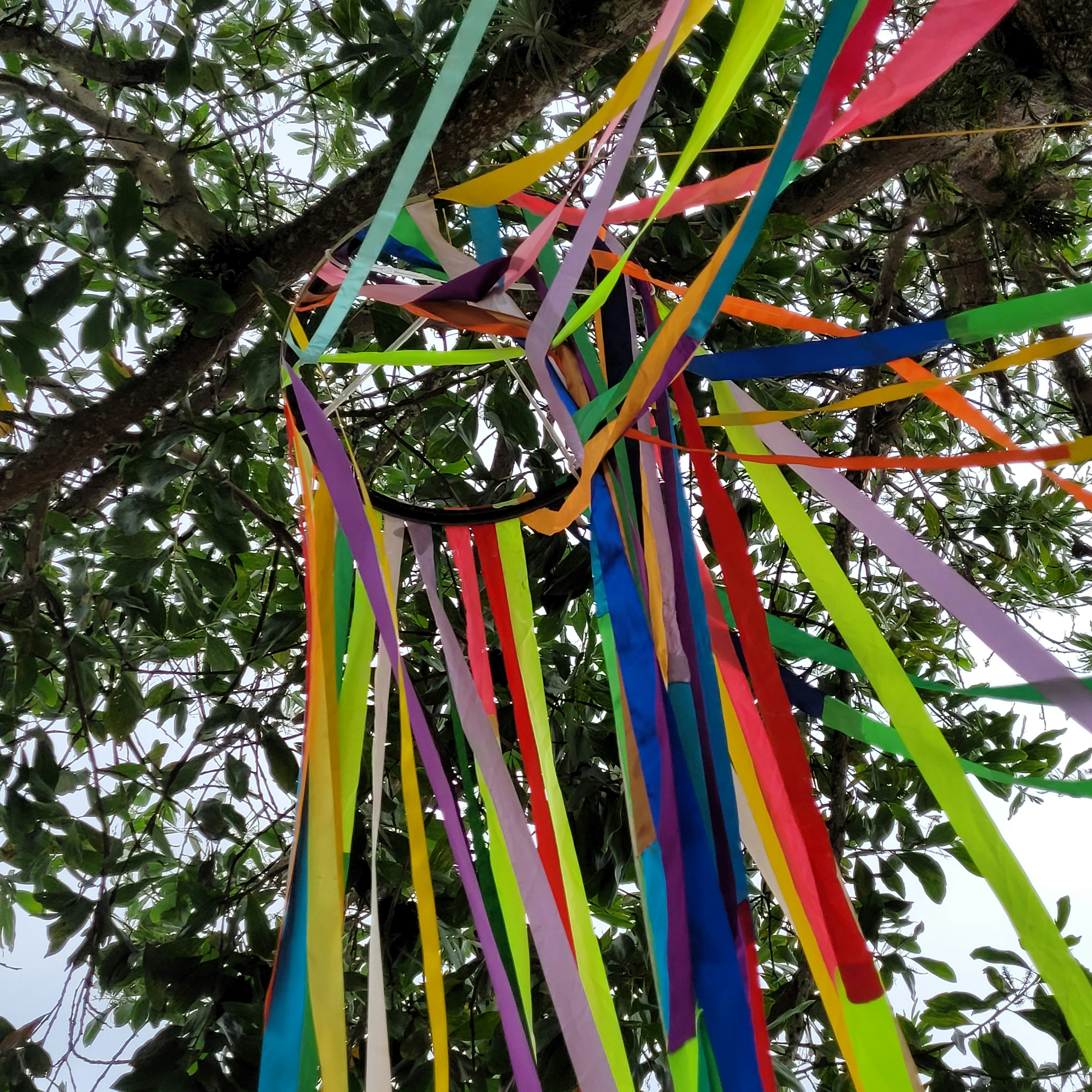 photo 1655128475754 e967d39beafa?ixid=M3w1ODkyNzF8MHwxfHNlYXJjaHwyfHxvdXRkb29yJTIwYmlydGhkYXklMjBjZWxlYnJhdGlvbnxlbnwwfDJ8fHwxNzUxMDE3Mzk2fDA&ixlib=rb 4.1