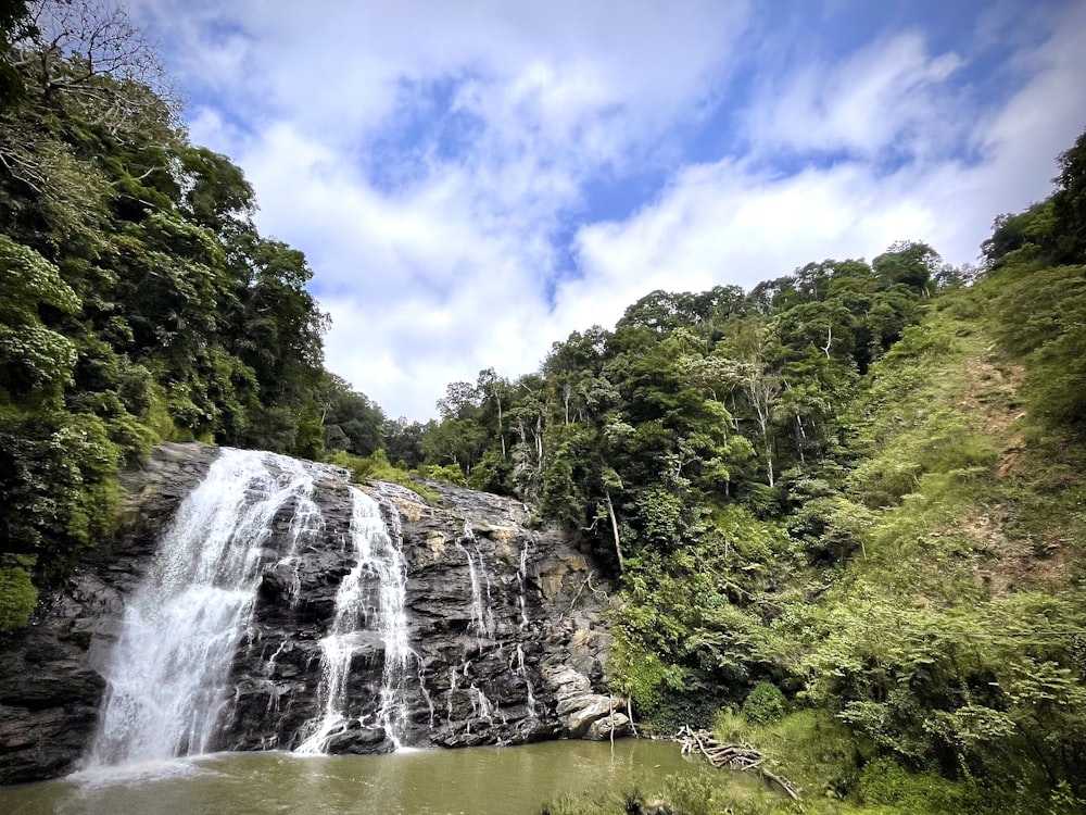 a waterfall in a forest