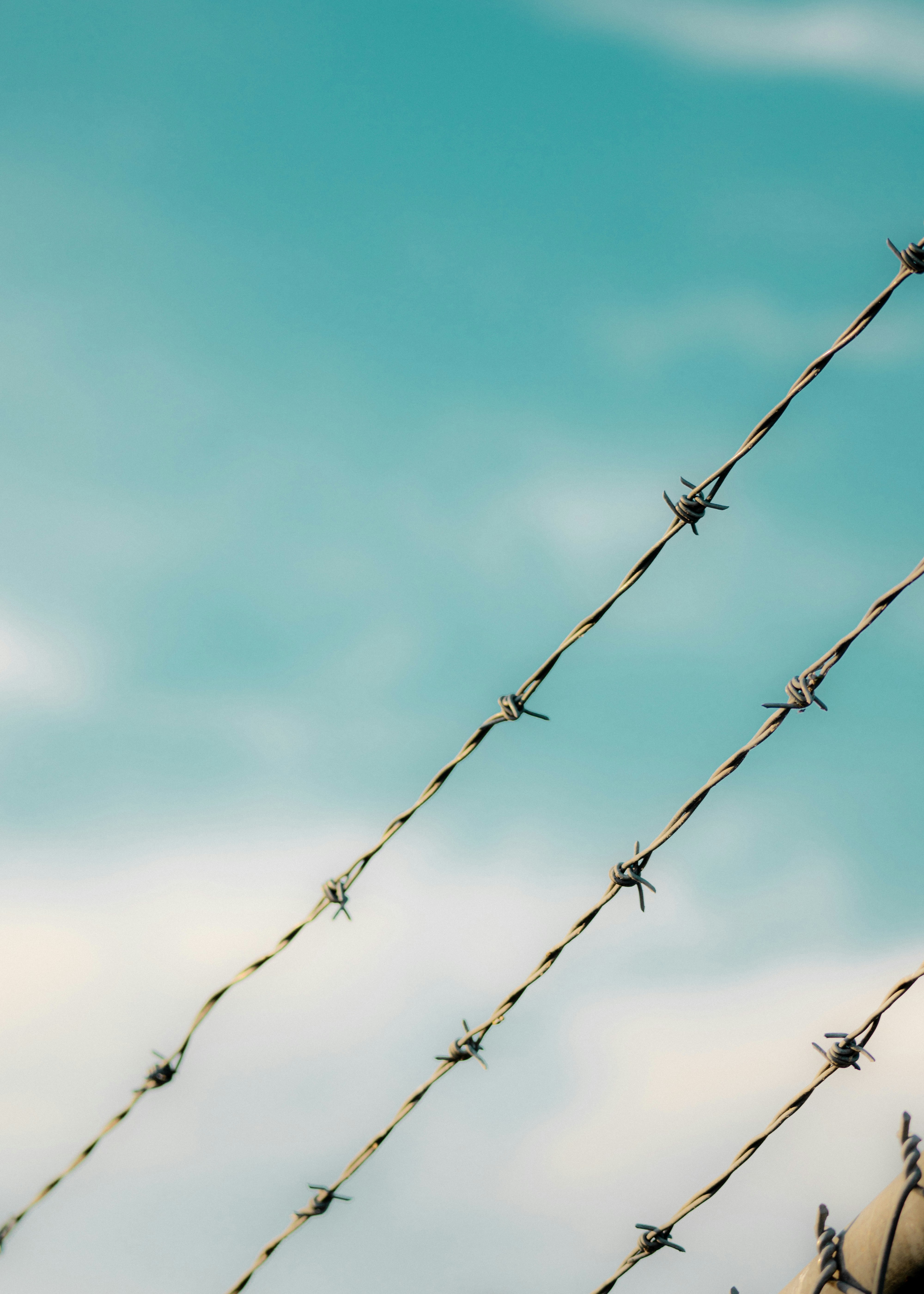 Photo by carterledford