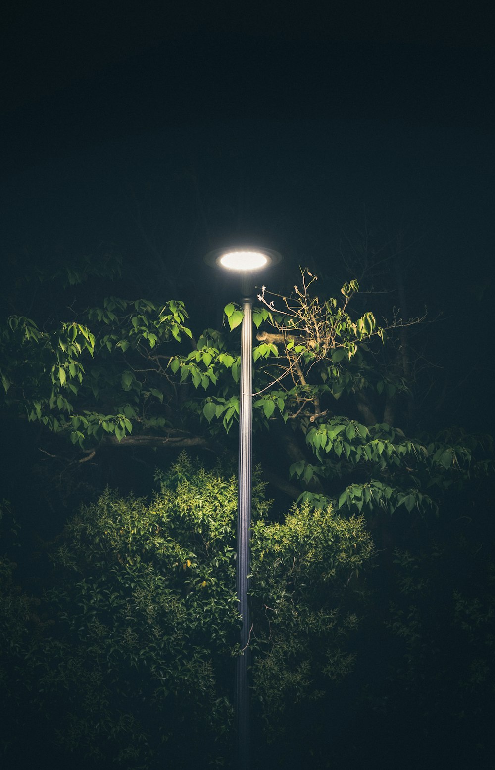 A Street Light At Night Photo – Free Street Lamp Image On Unsplash