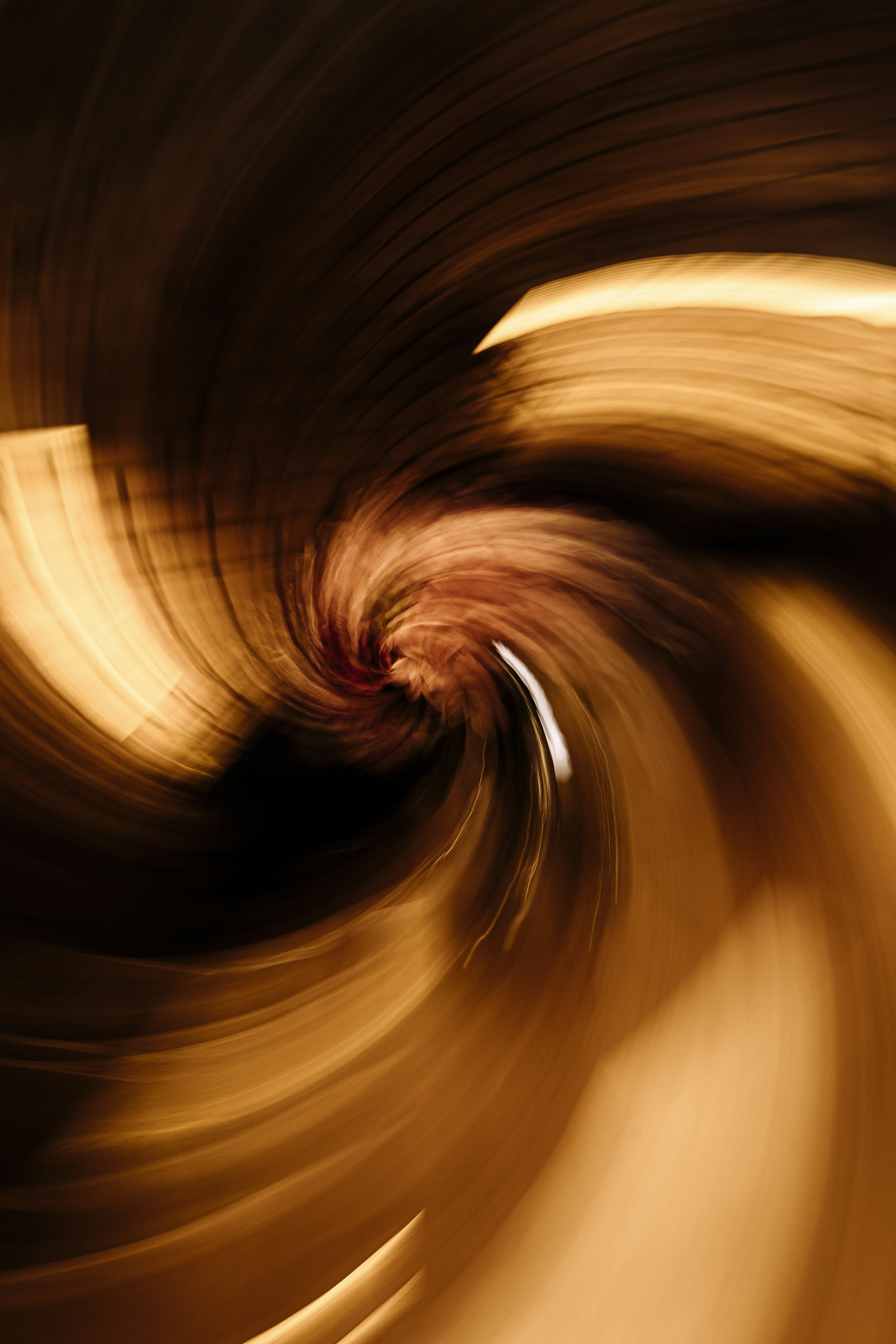 Photo by maksym_tymchyk