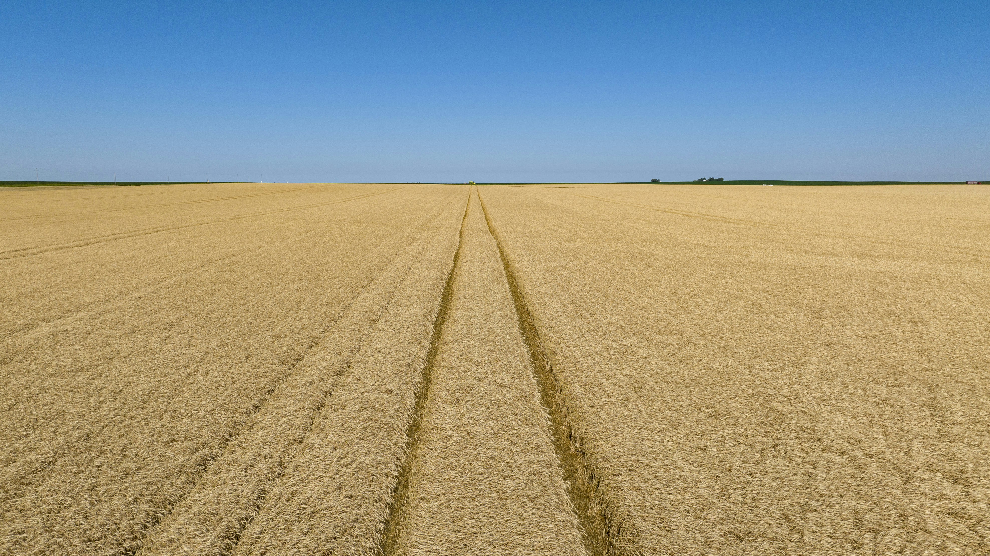 un grand champ avec quelques personnes marchant dessus