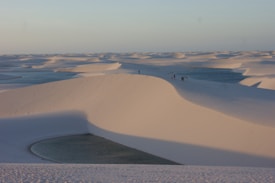 Photo 1655132994486 5b424d302cbb?q=85&w=275&h=275&fit=crop