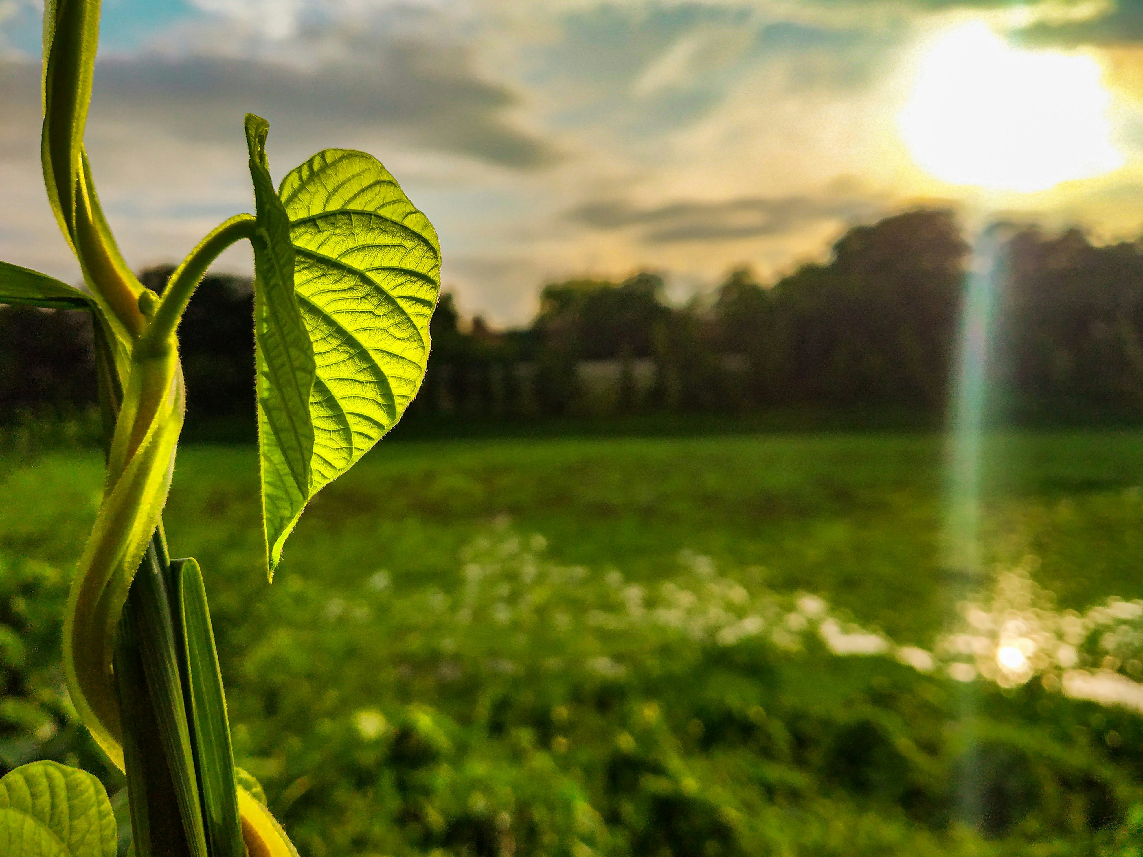 Photo by damnfotographer