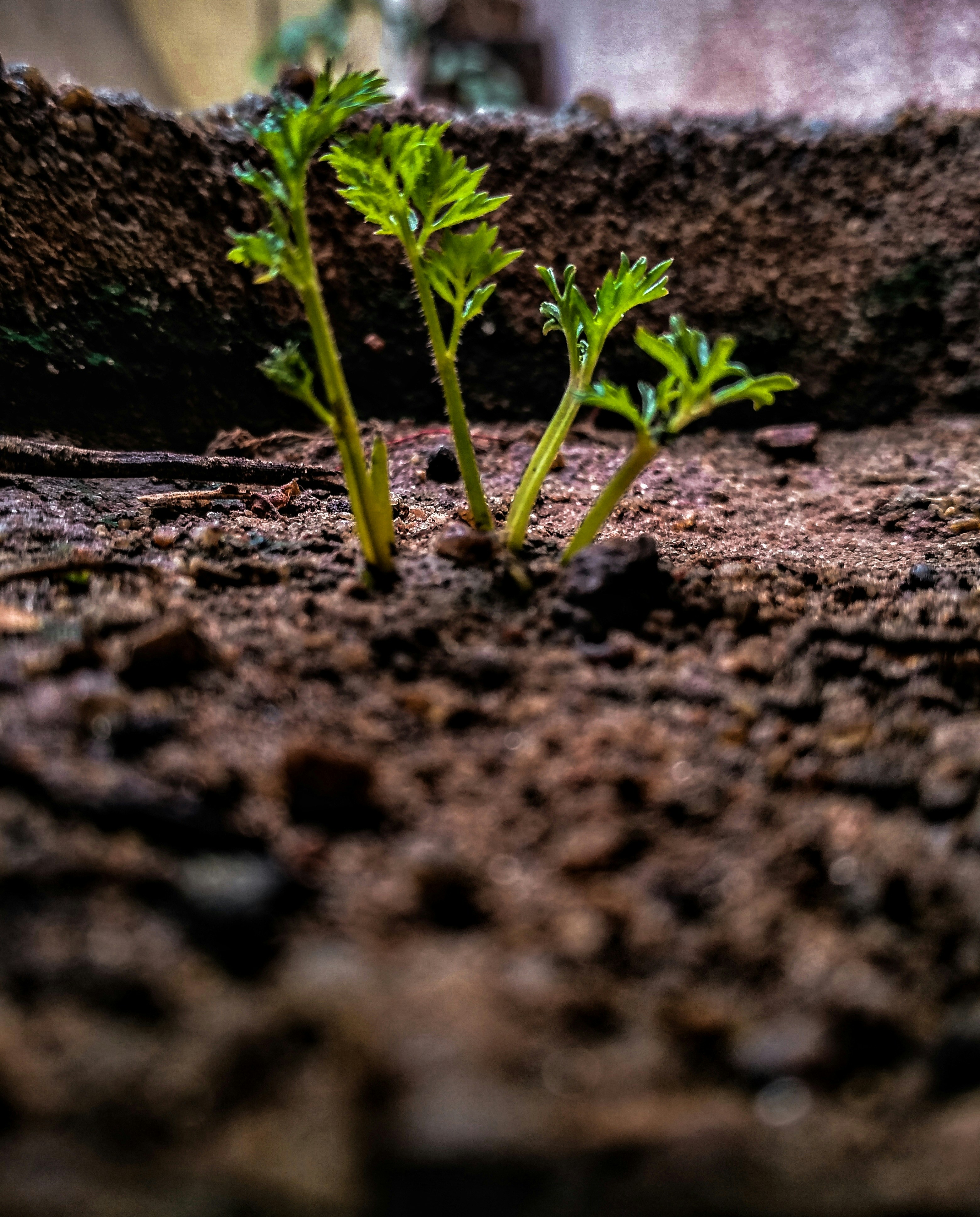 Photo by picxels_art