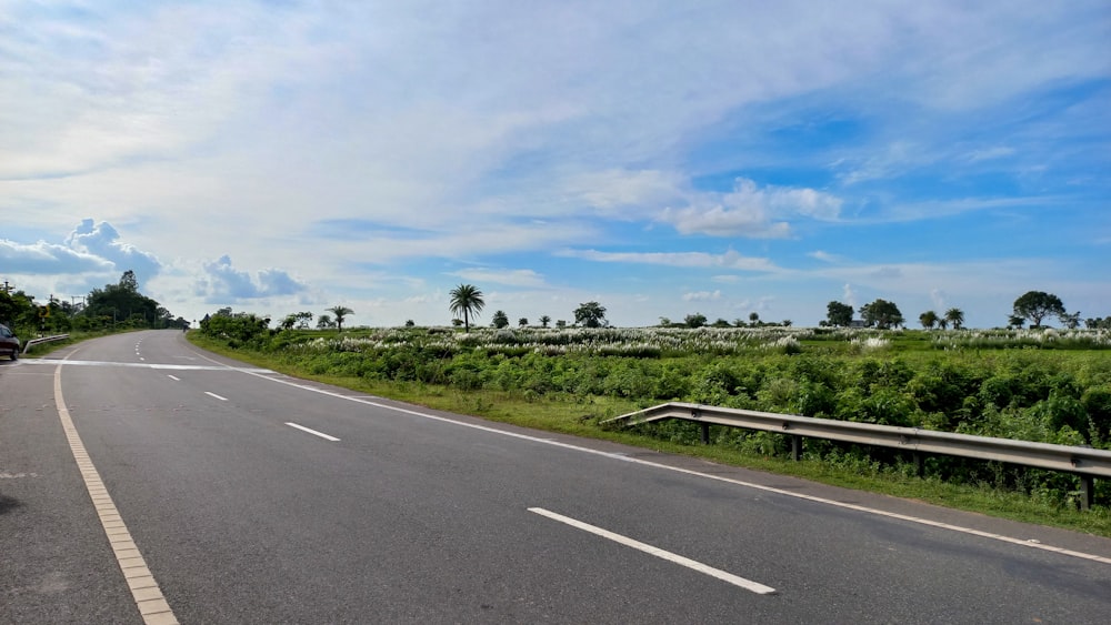 a road with bushes on the side