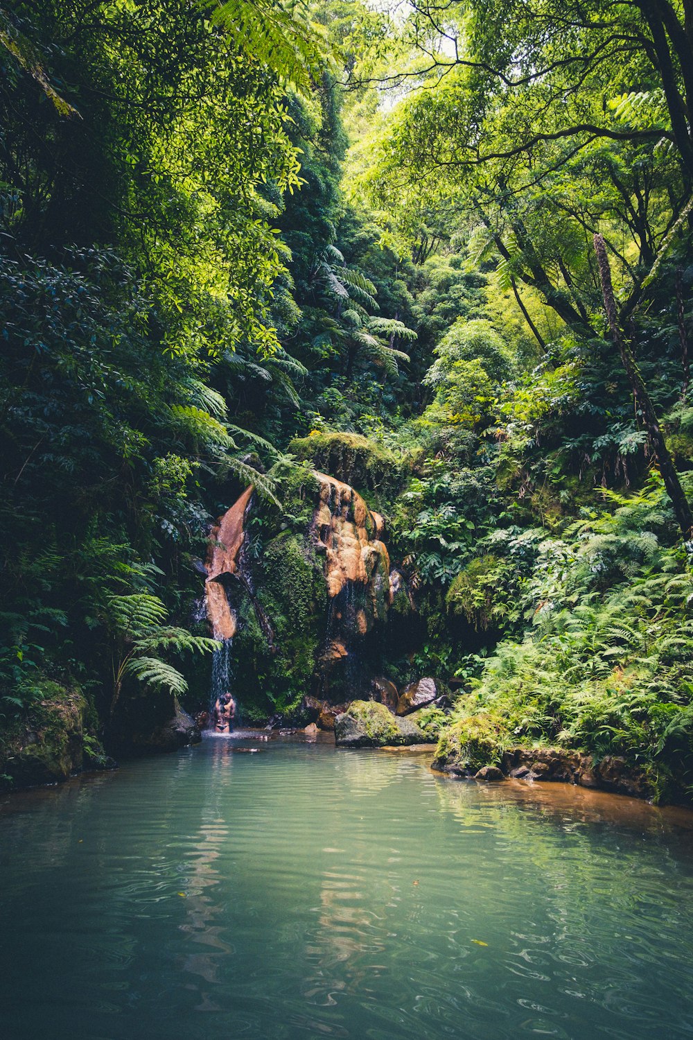 a waterfall in a forest