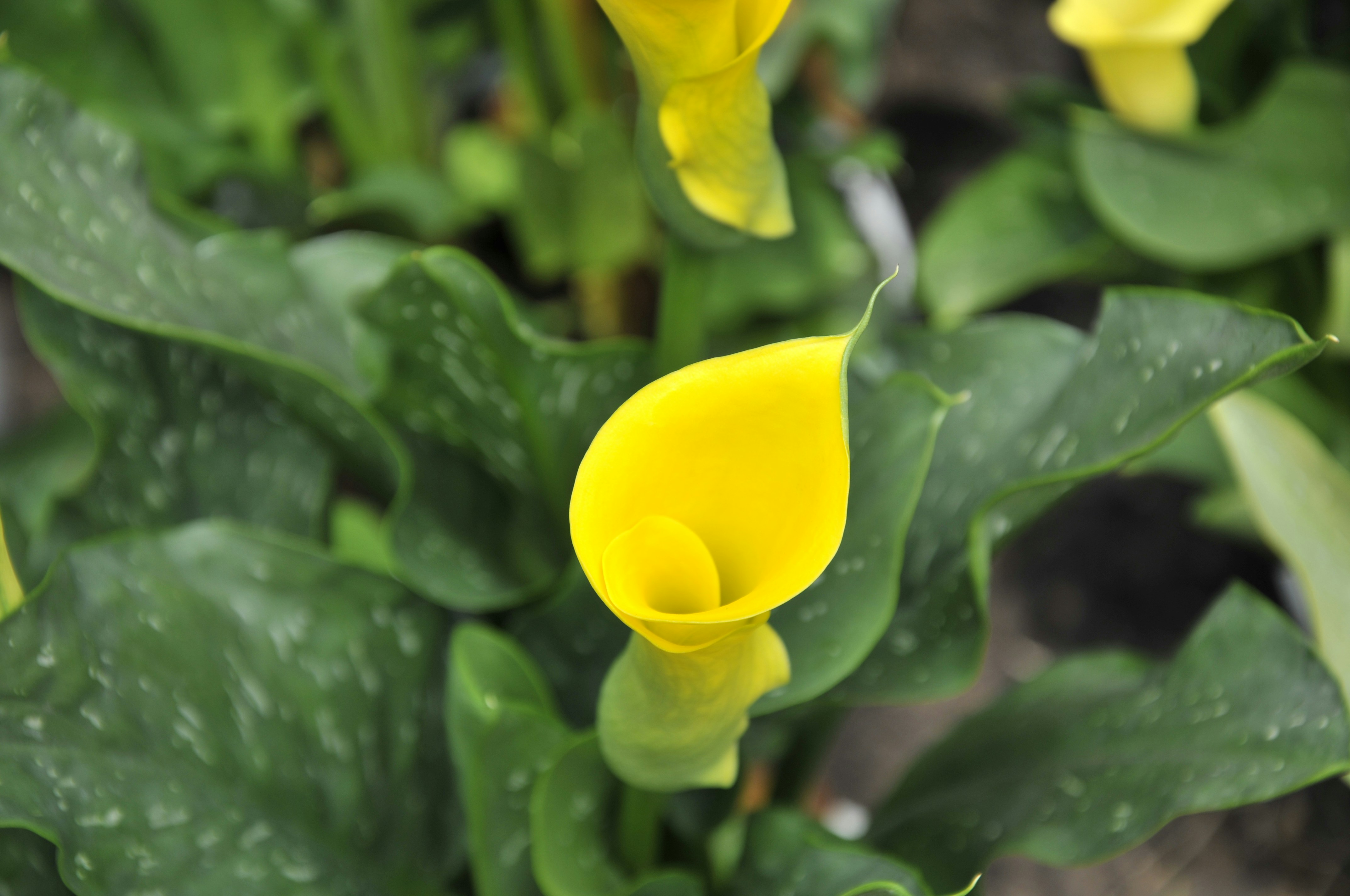 Photo by minhieu_hoang83