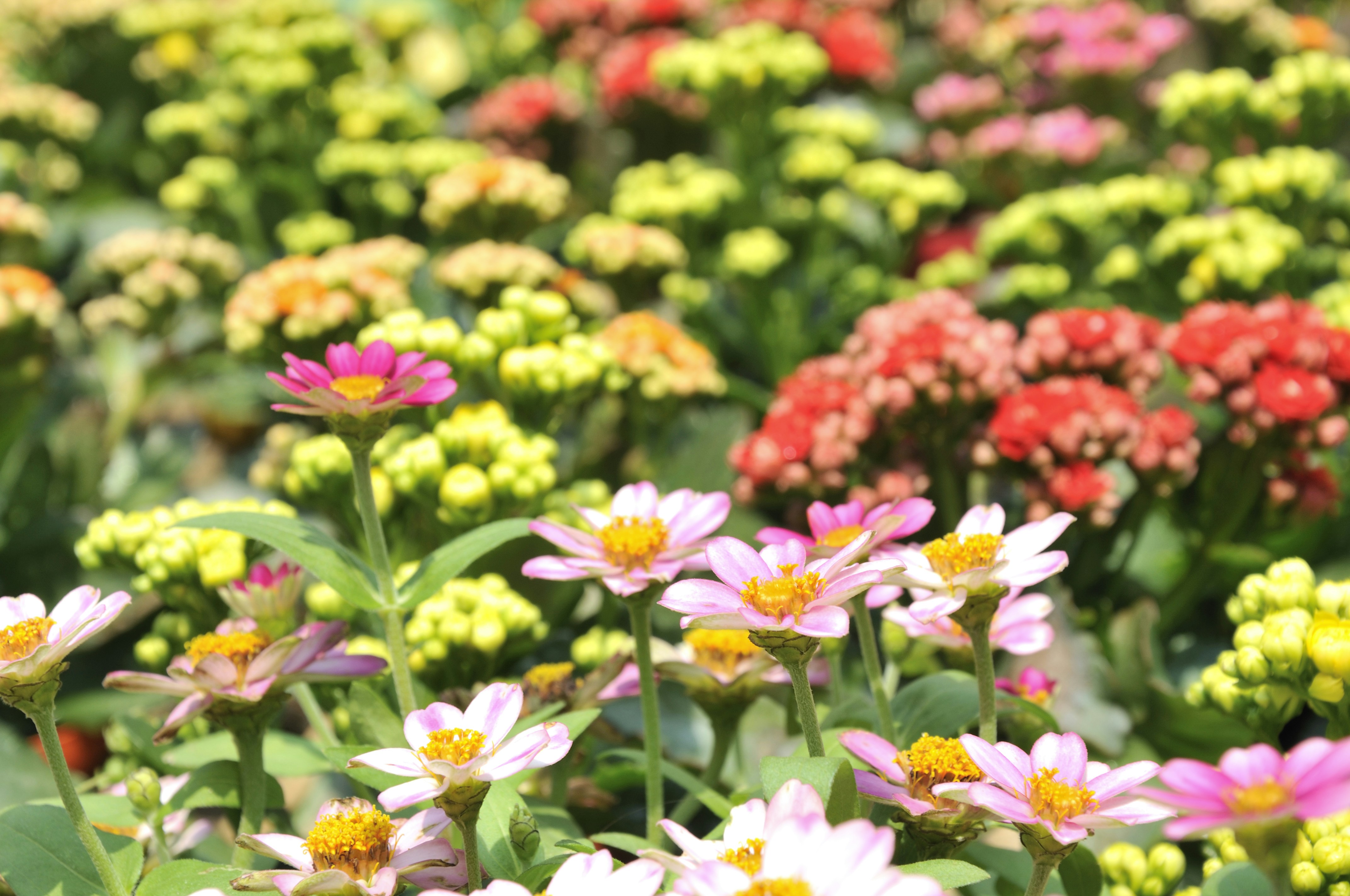 Photo by minhieu_hoang83