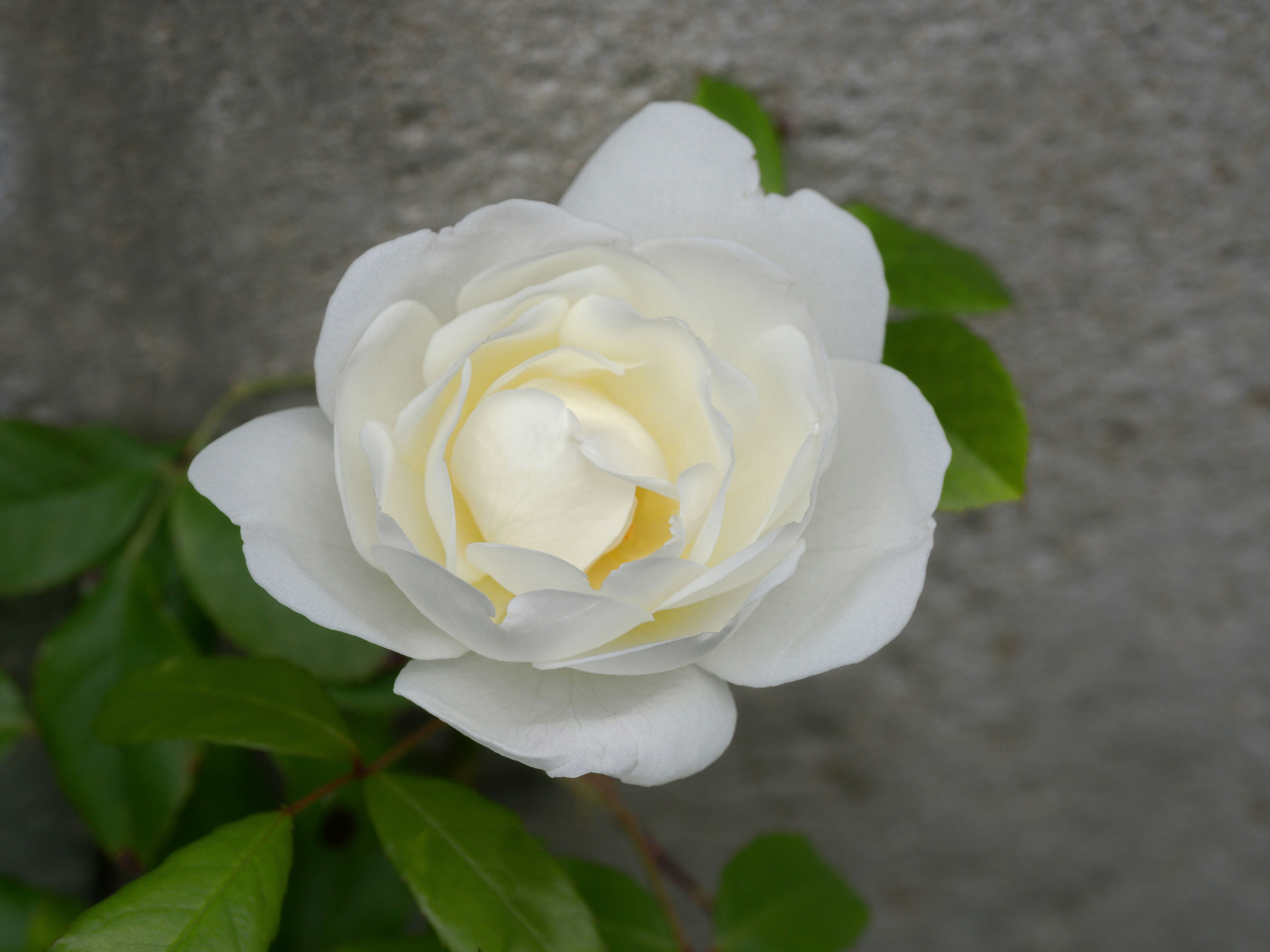 Photo by brett_jordan