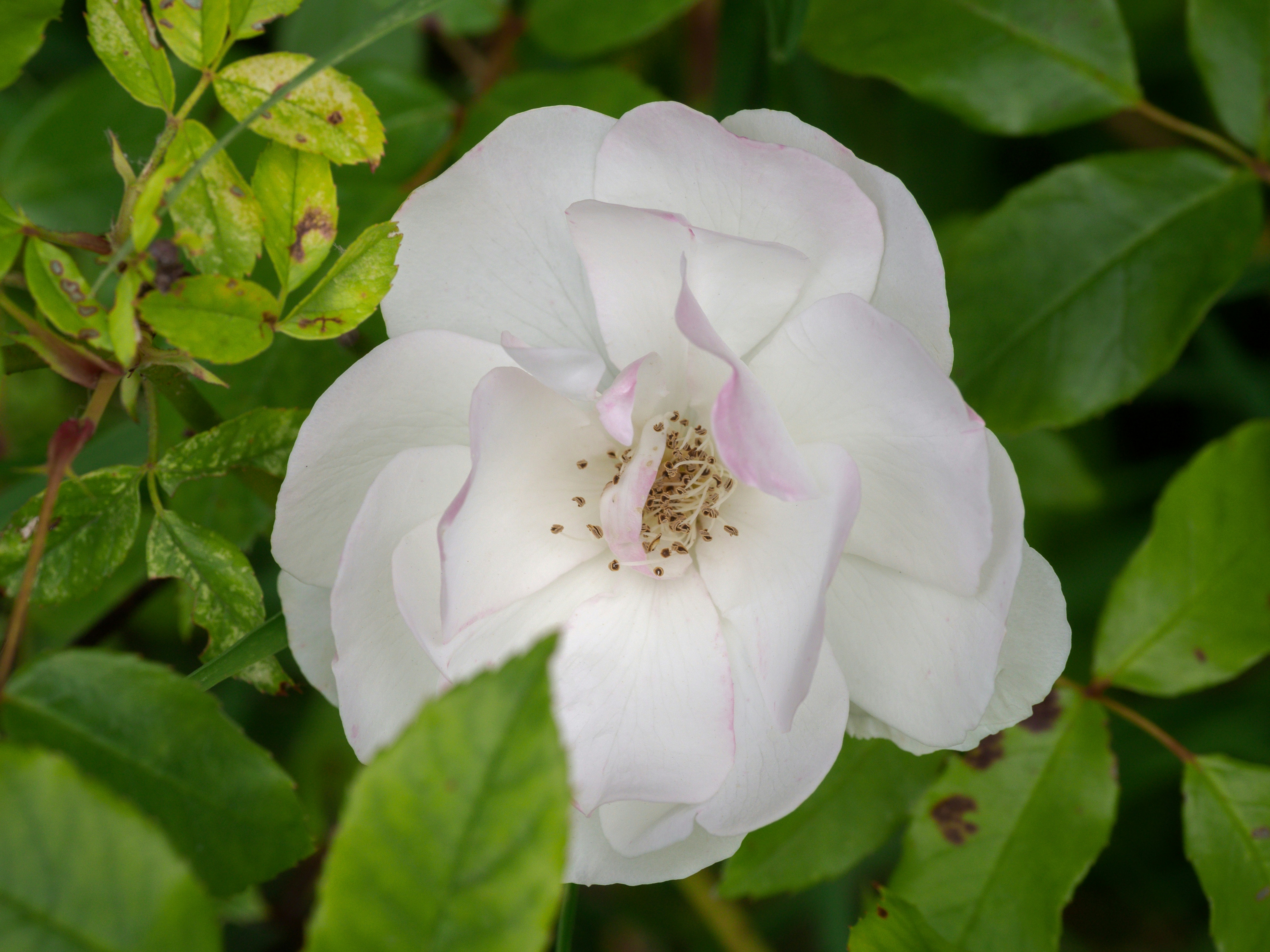 Photo by brett_jordan