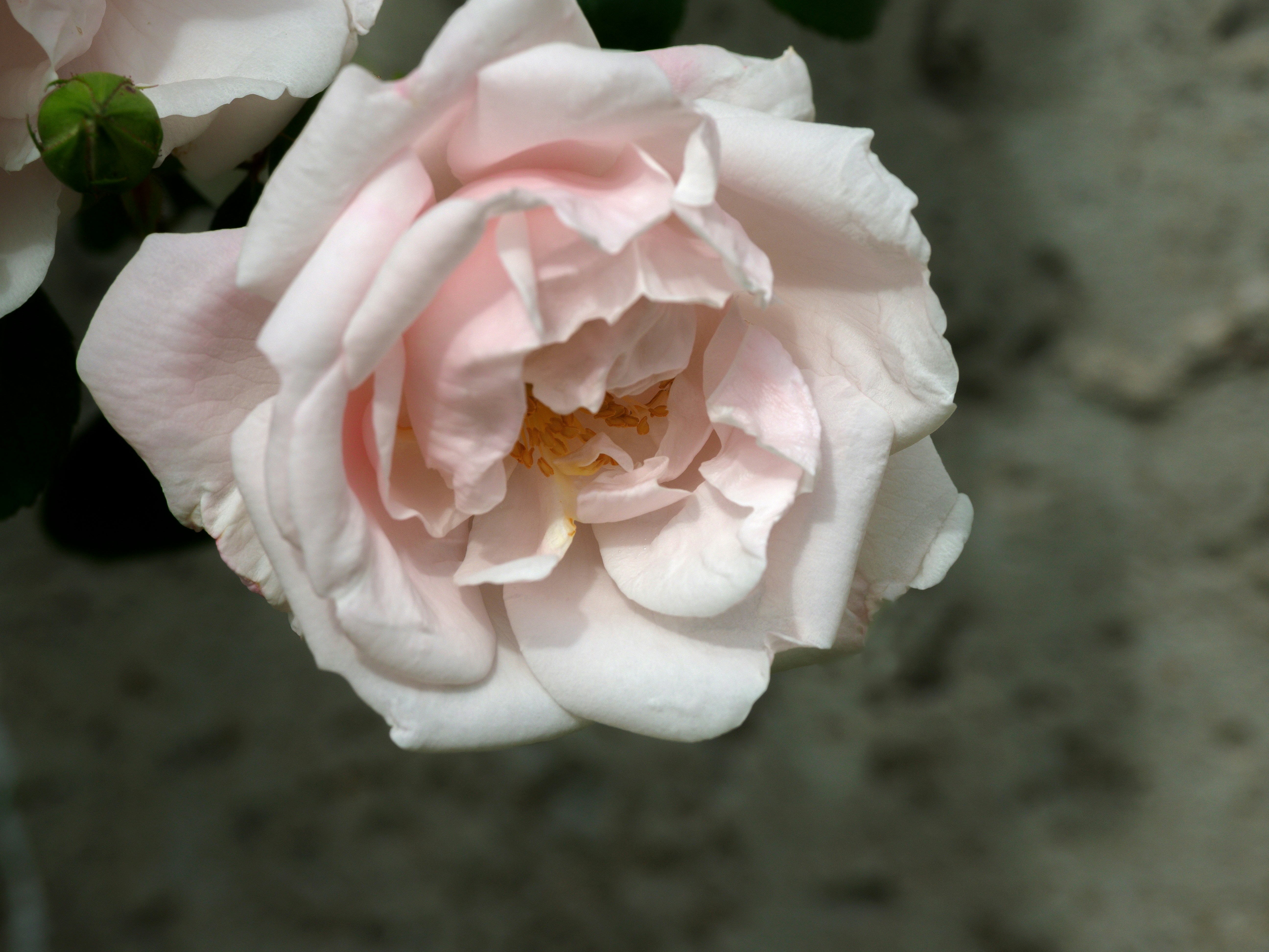 Photo by brett_jordan