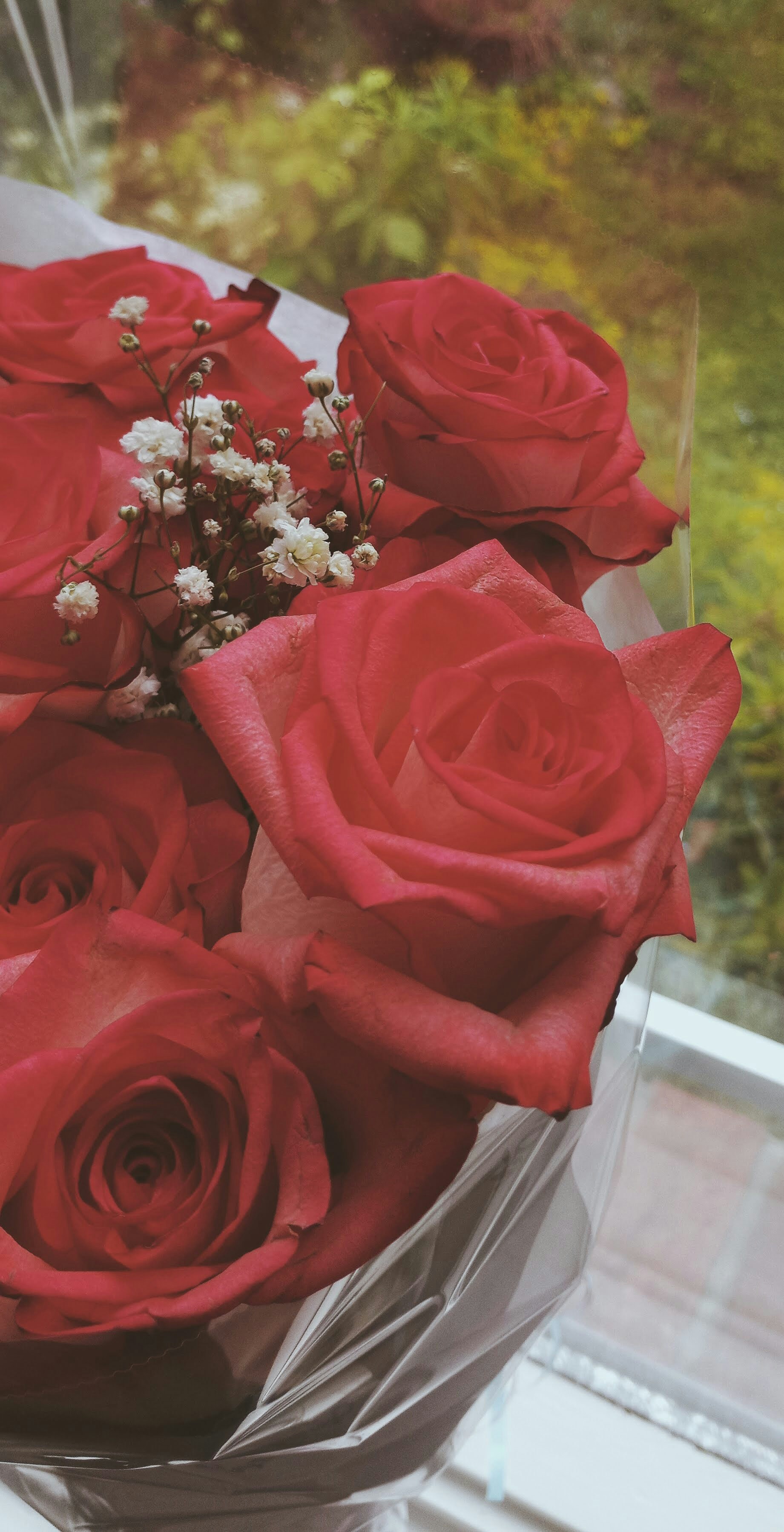 Photo by linusbelanger