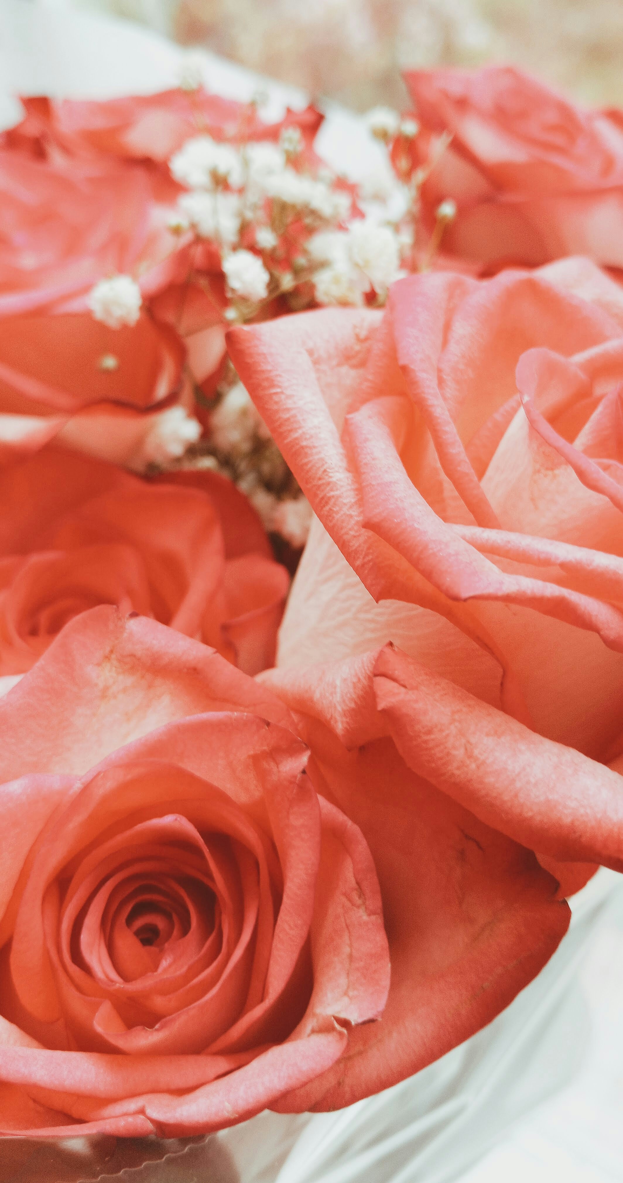 Photo by linusbelanger