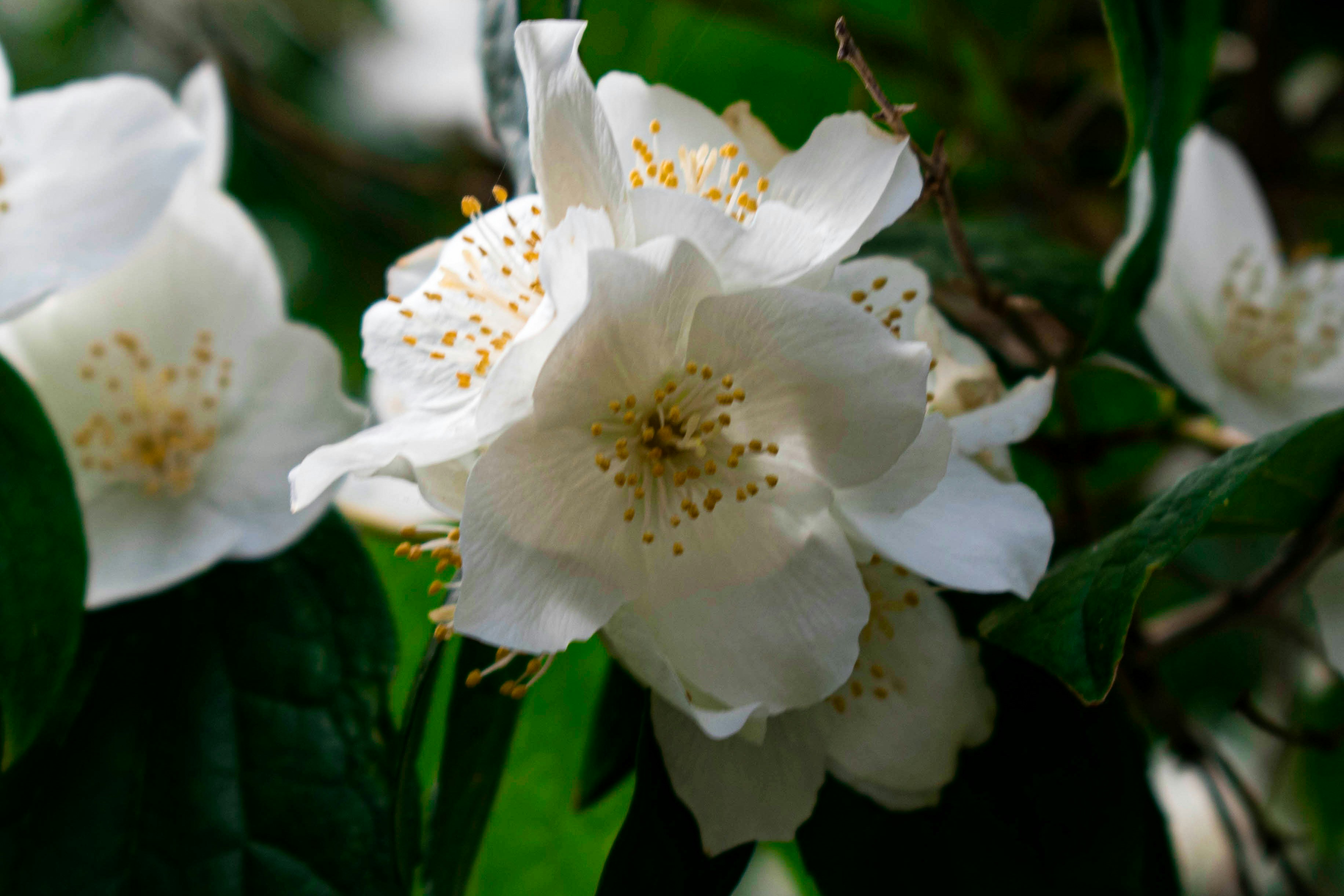 Photo by infinitecreations21