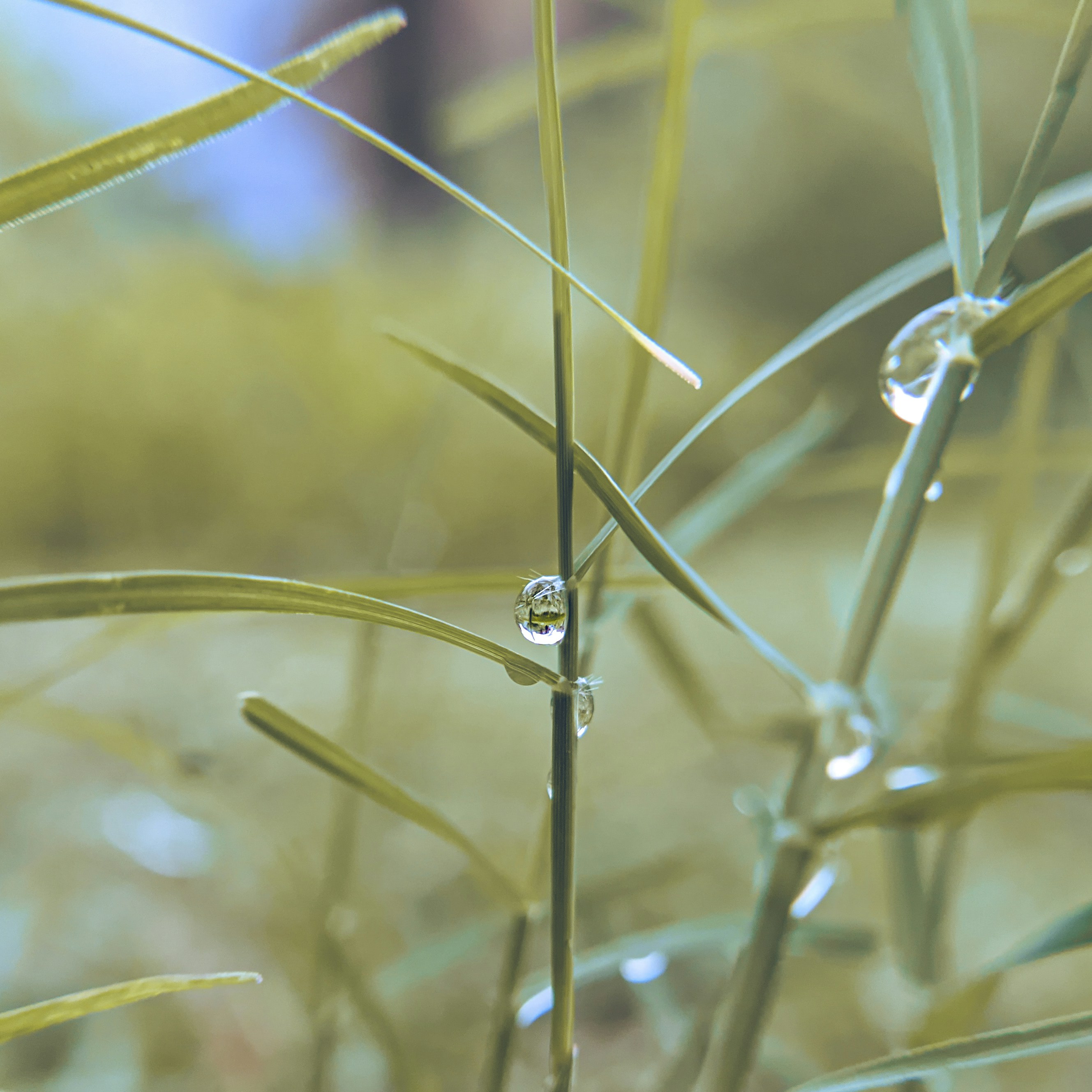 Photo by damnfotographer