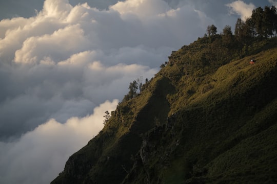 None in Rinjani Indonesia