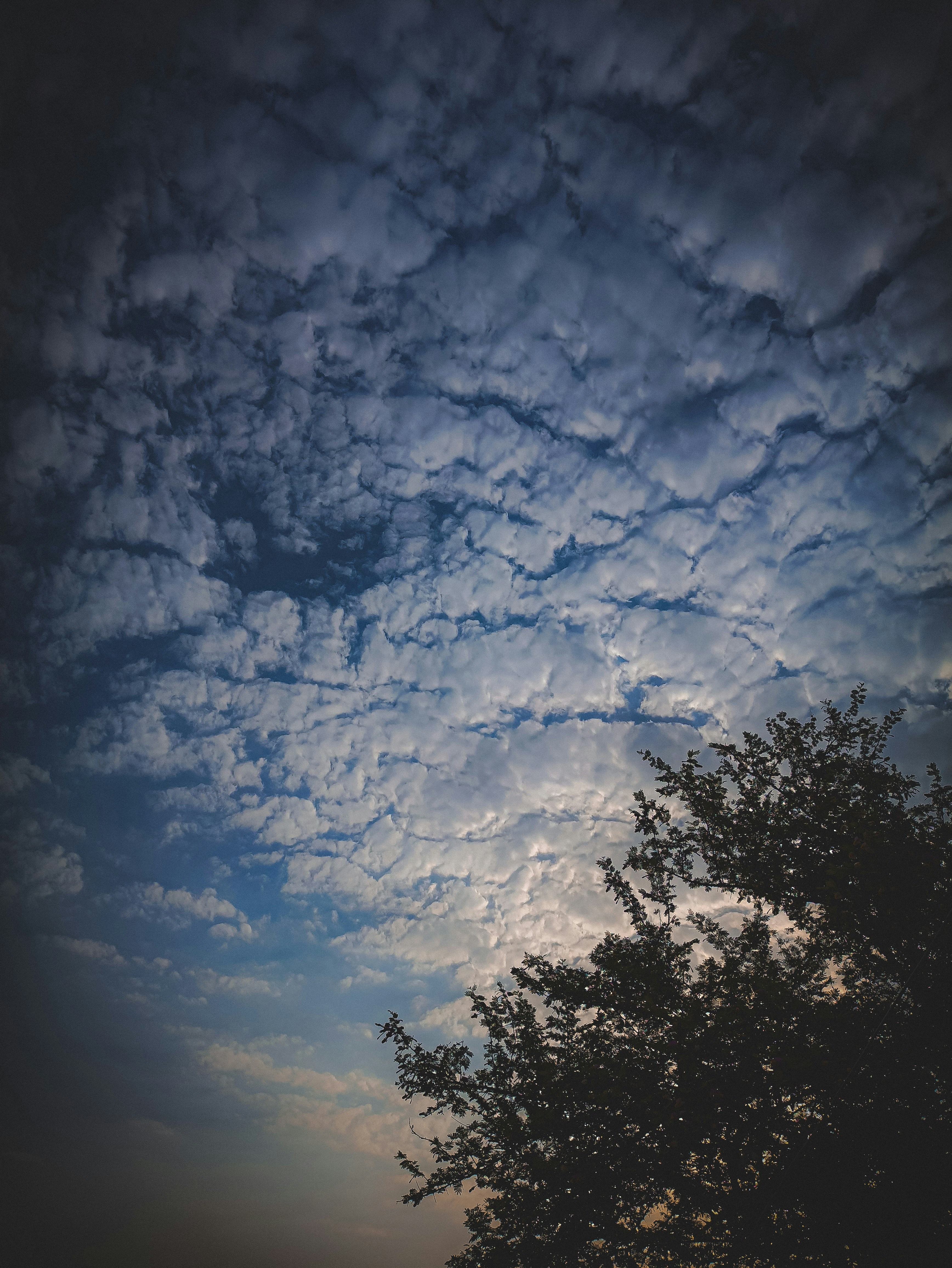 Photo by decomposeeeee