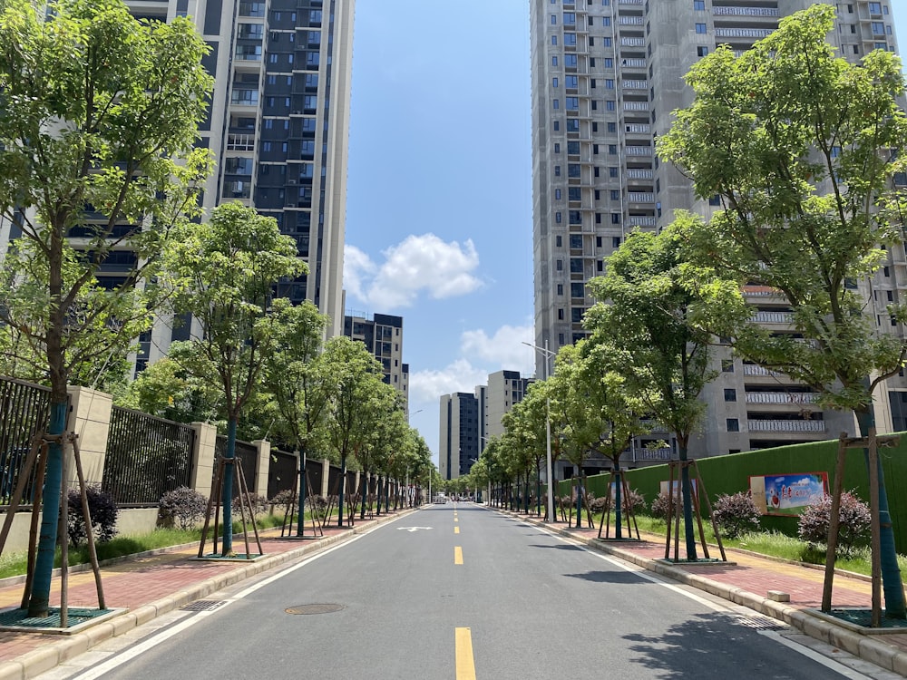 a street with trees and buildings on the side