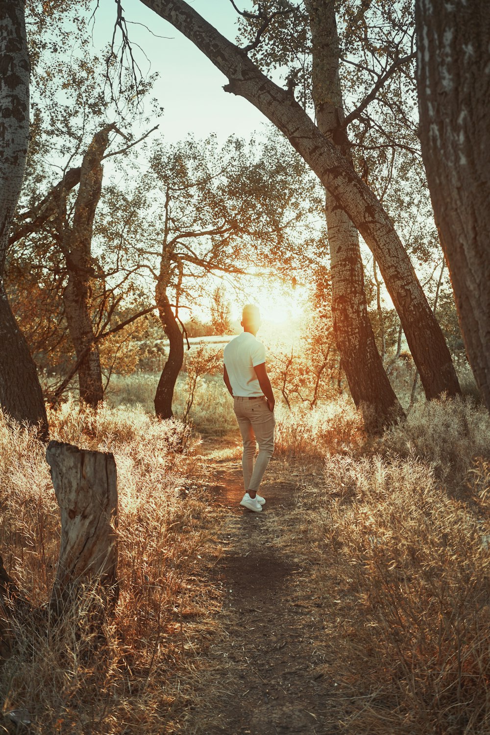 a person walking on a path in the woods