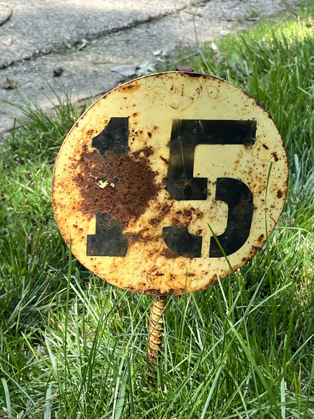 a round yellow object with a face drawn on it in grass