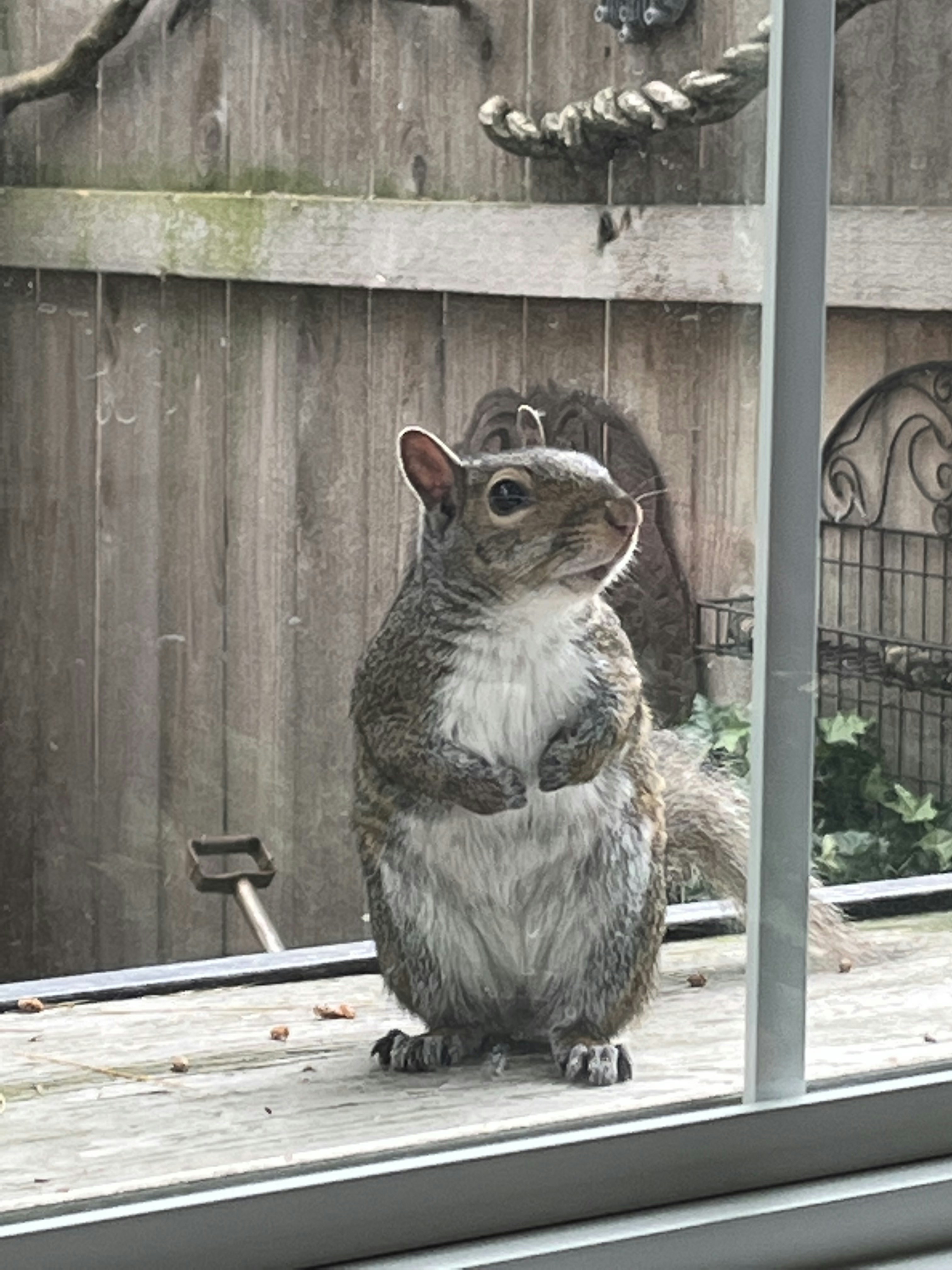 Waiting for peanuts… | Rethinking Life