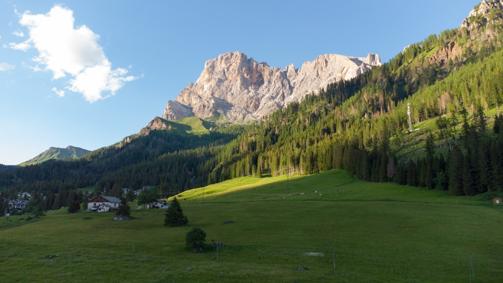 a grassy valley with trees and mountains in the background