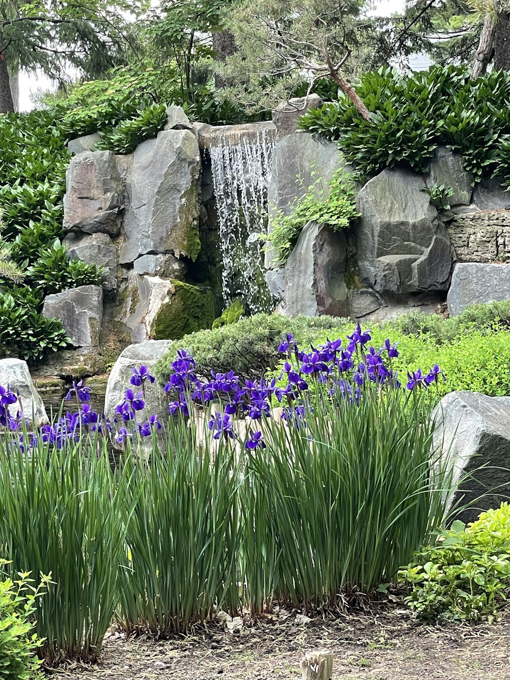 um jardim com pedras e flores