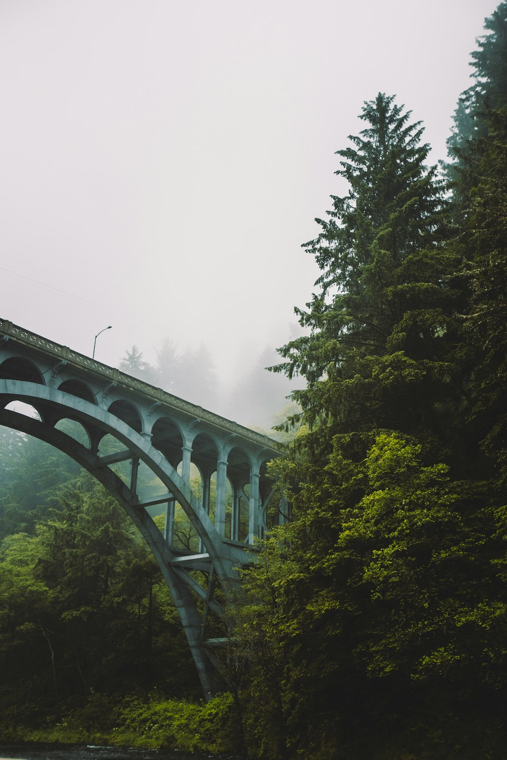 a bridge with trees on the side