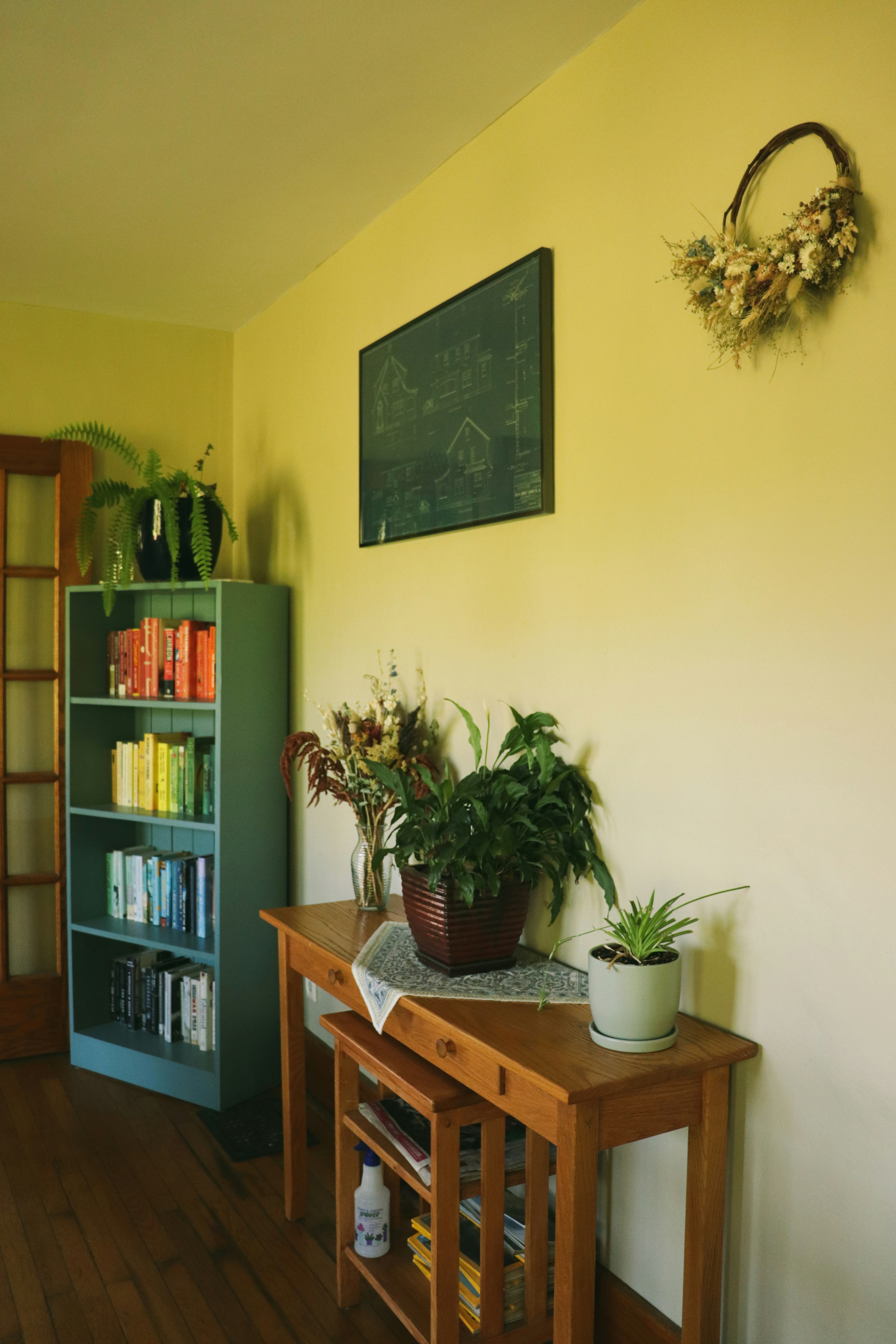 Photo by giulicanderle