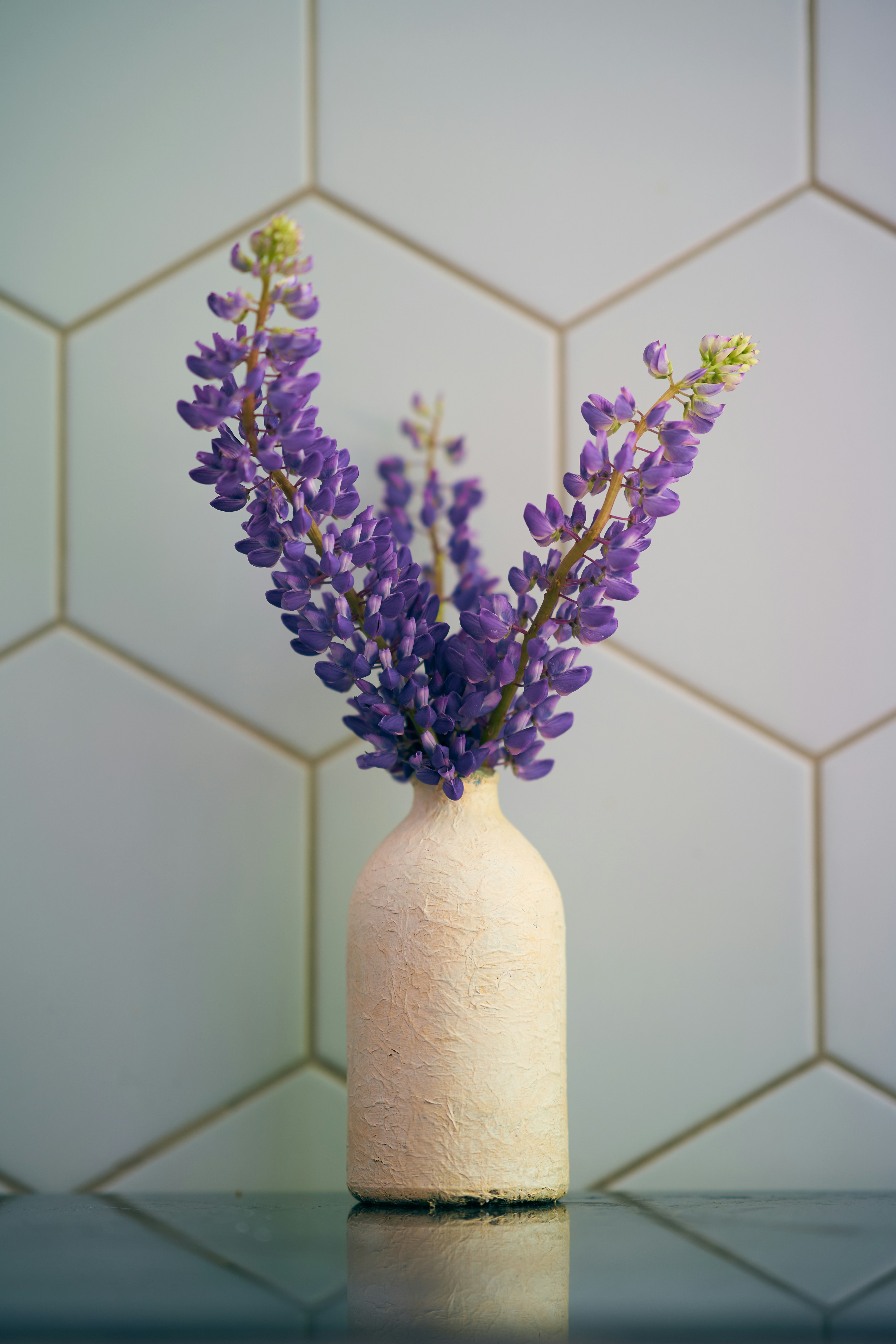 Photo by anamnesis33