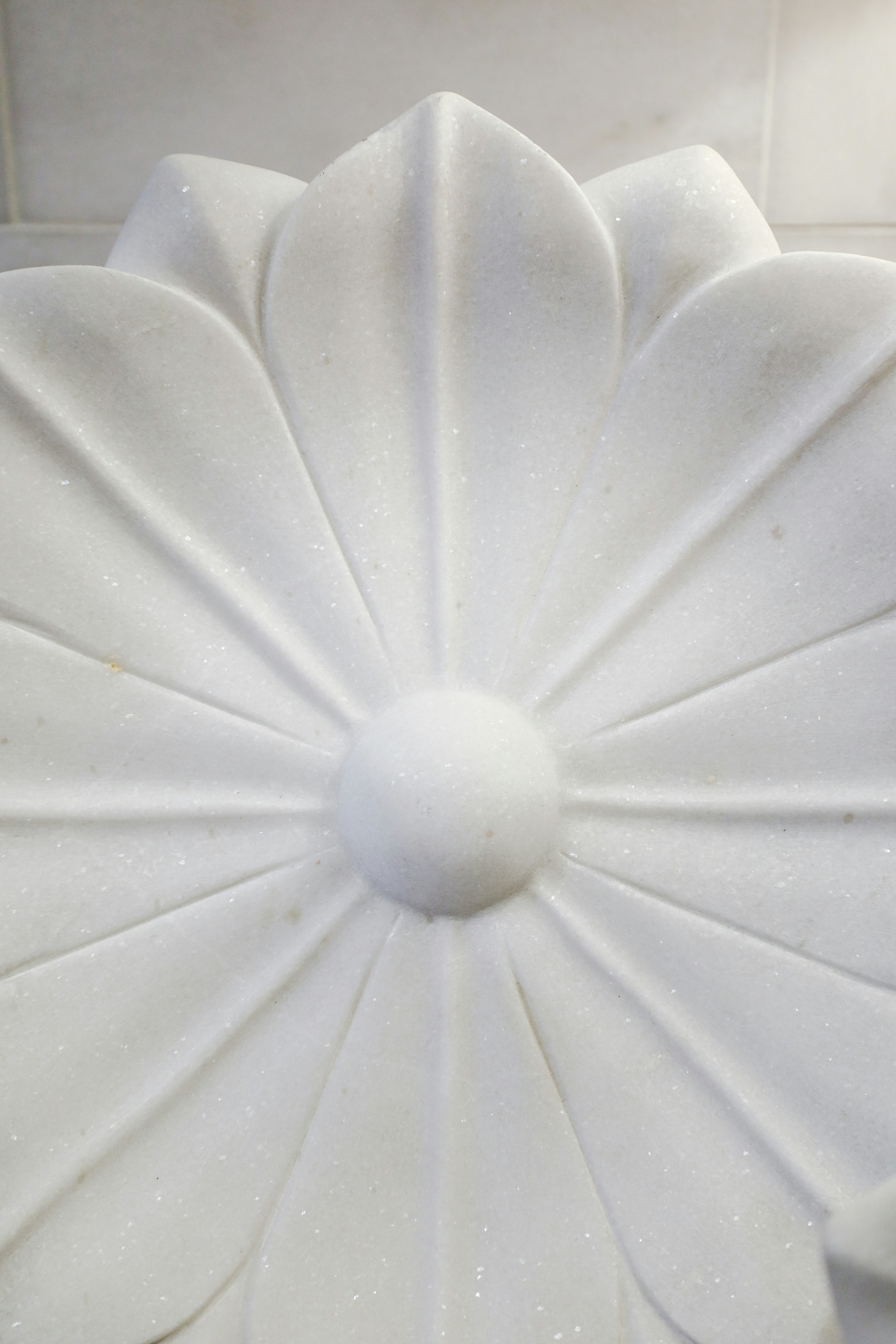 Photo by rosemarymedia