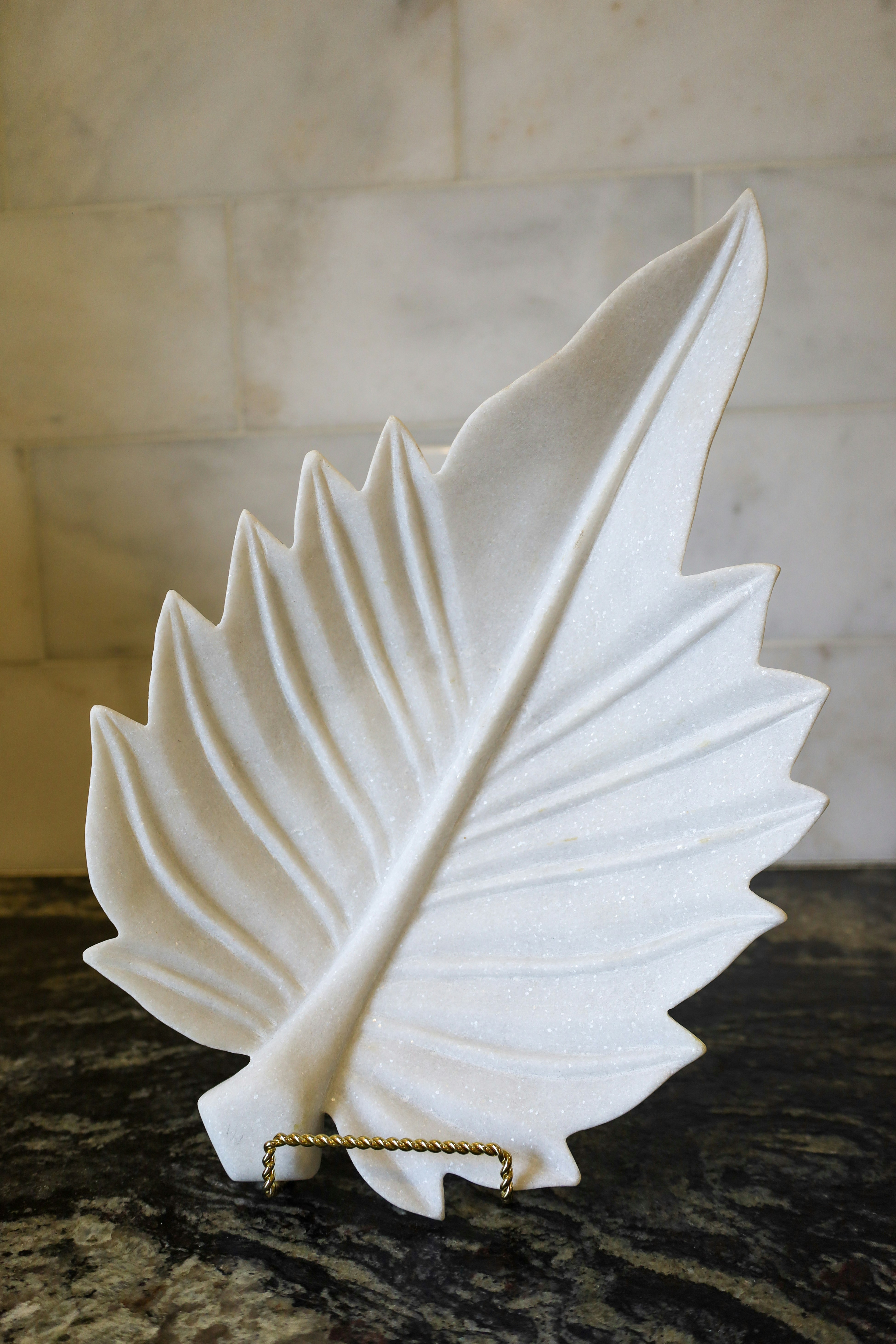 Photo by rosemarymedia