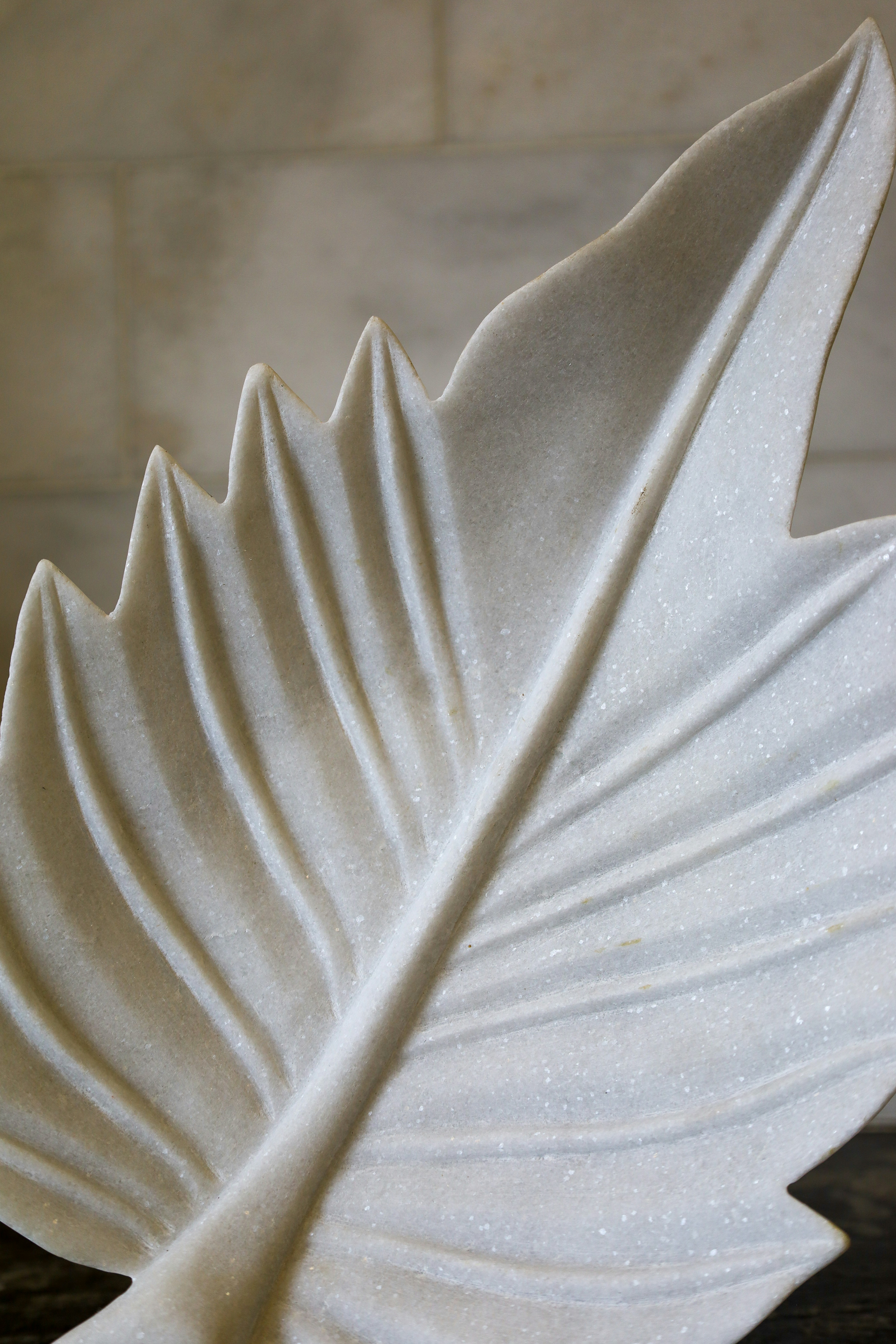 Photo by rosemarymedia