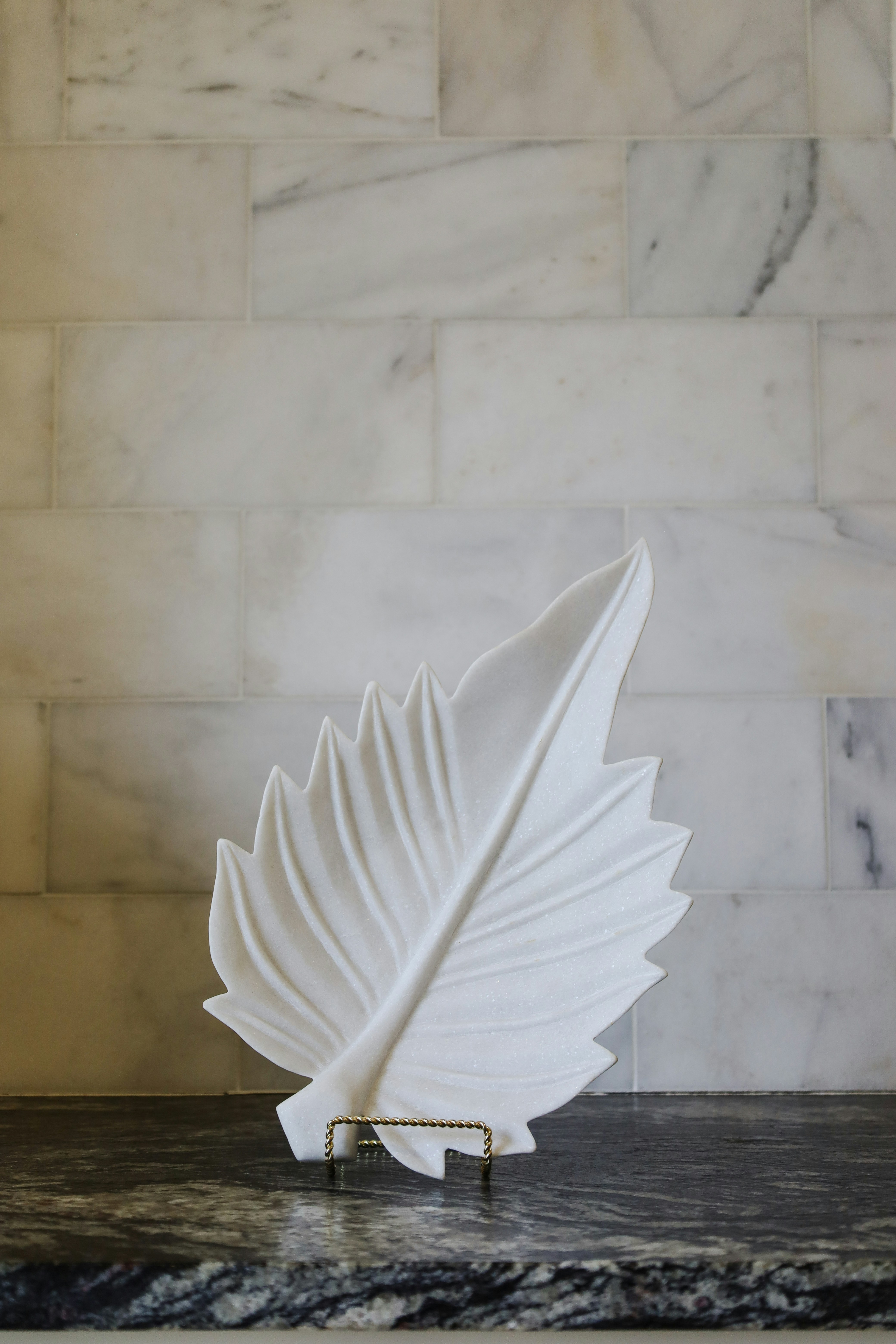 Photo by rosemarymedia