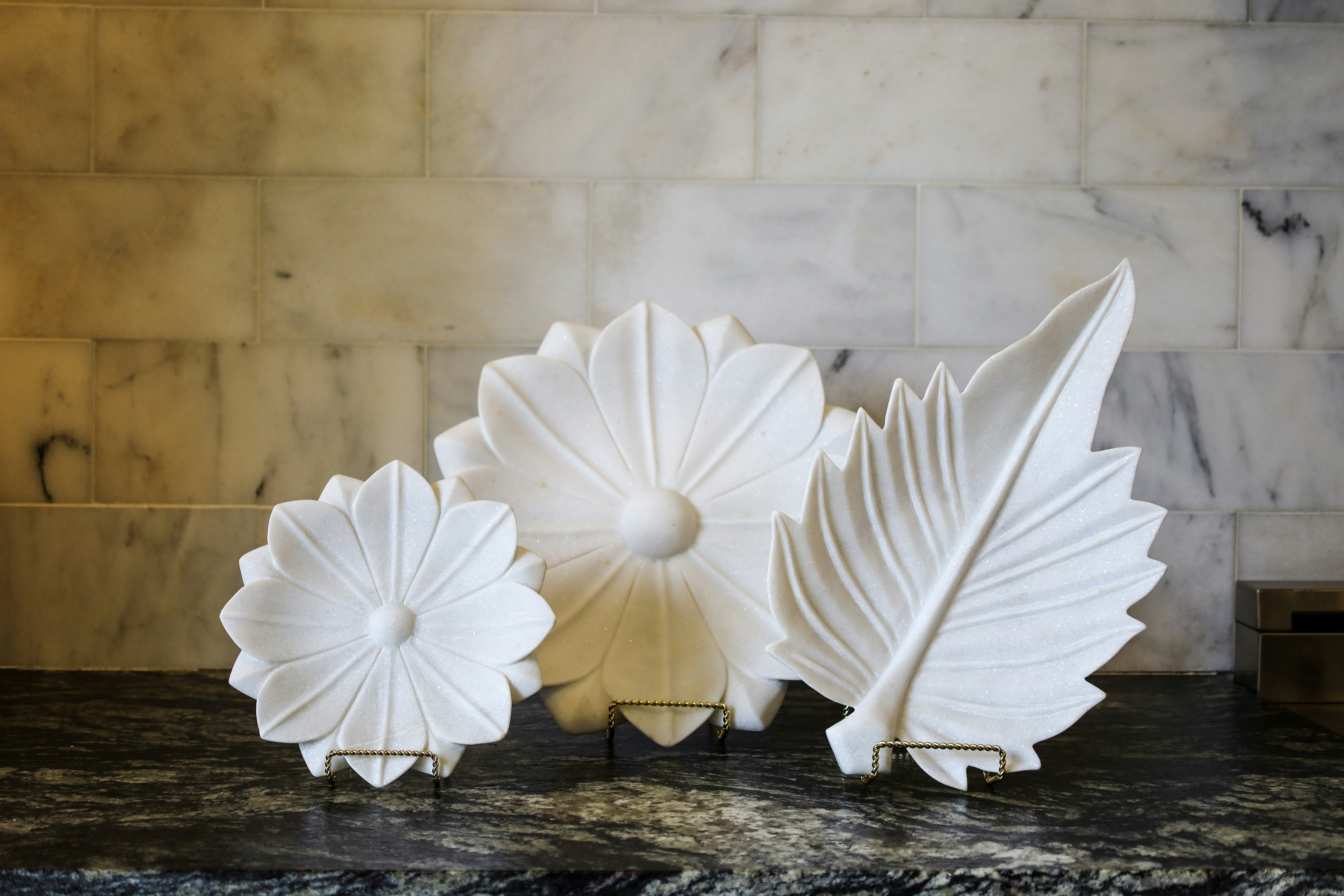 Photo by rosemarymedia