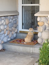 A small dog is sitting on a colorful doormat in front of a house door with a glass panel. The door's frame is surrounded by decorative stonework, and some greenery is visible to the right. The dog appears to be looking inside through the glass.