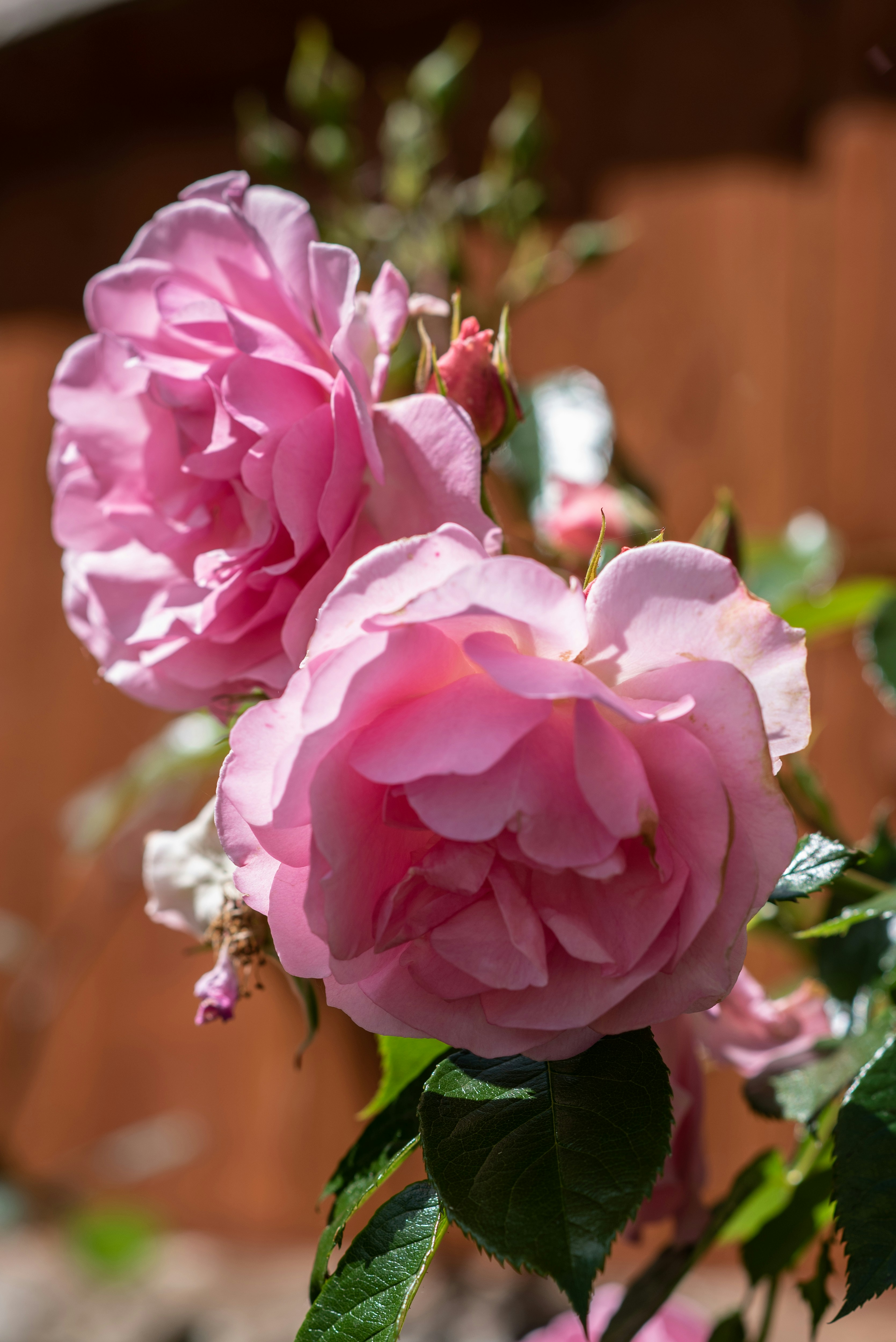 Photo by louisesmithma