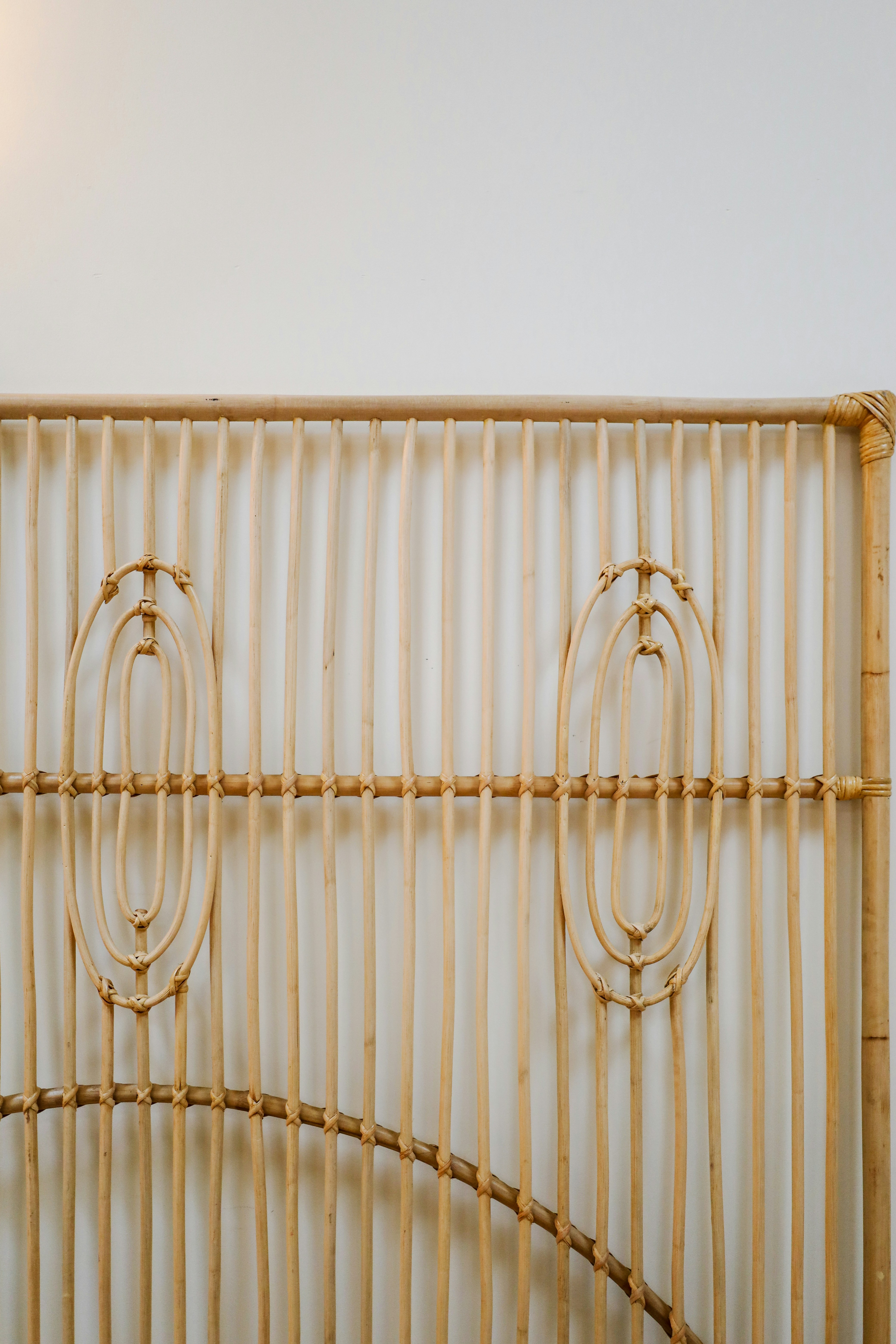 Photo by rosemarymedia