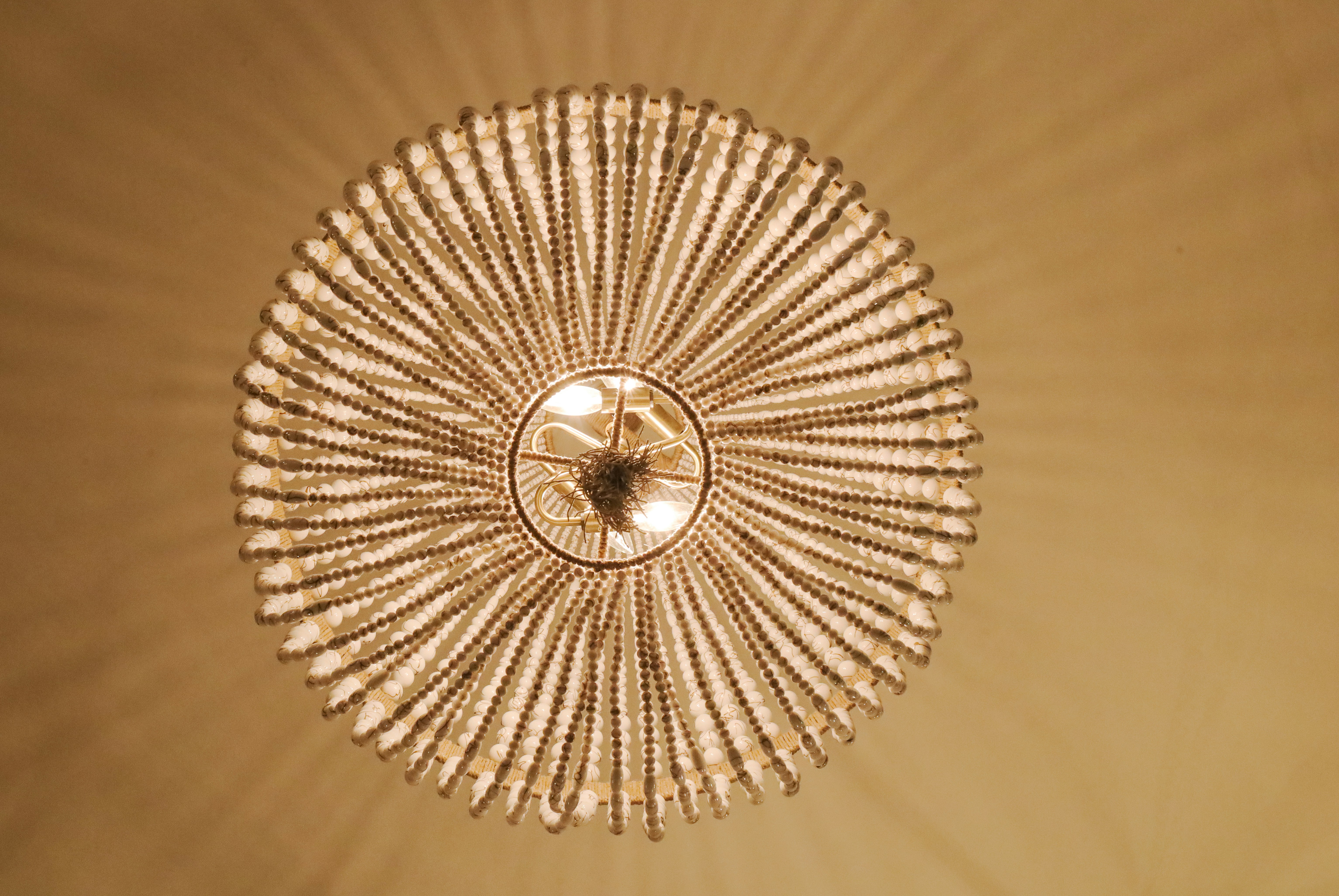 Photo by rosemarymedia